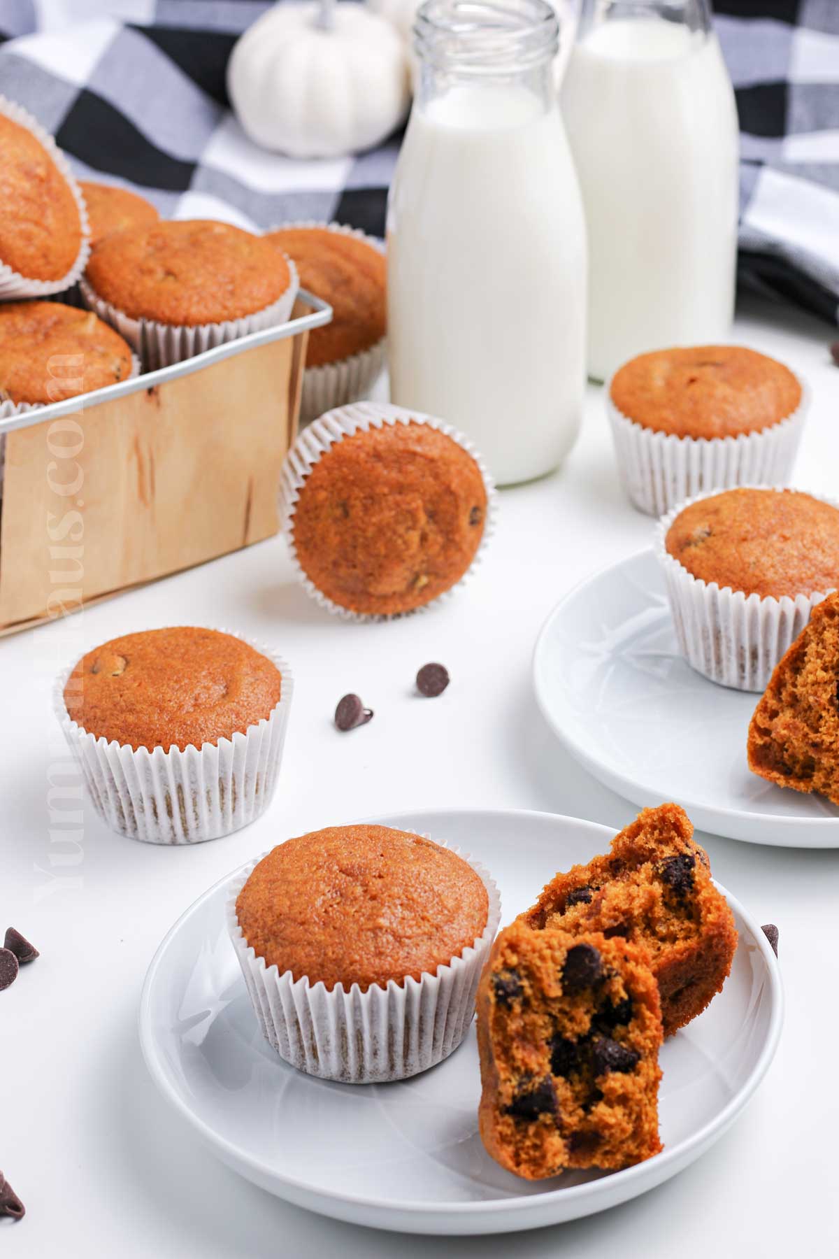 Pumpkin Chocolate Chip Muffin recipe