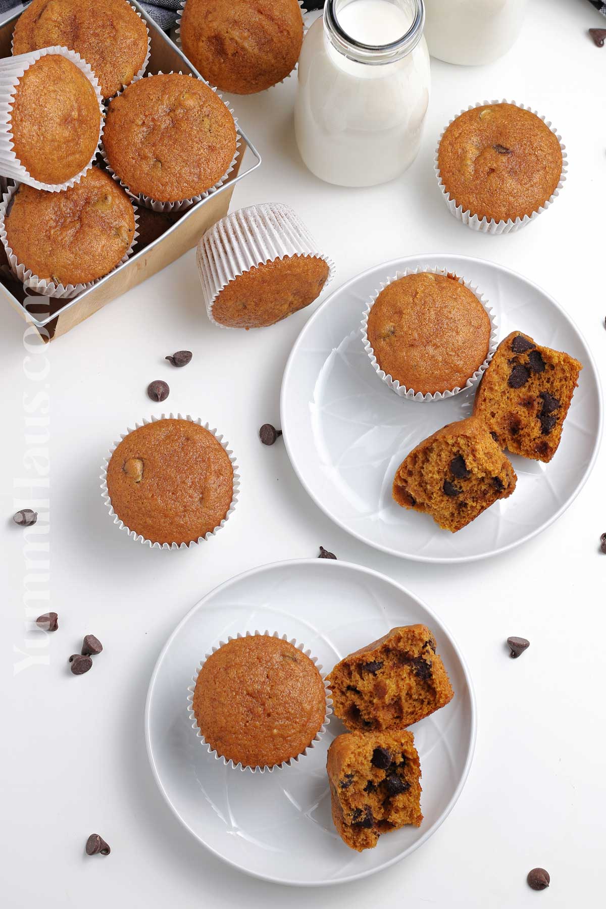 pumpkin breakfast