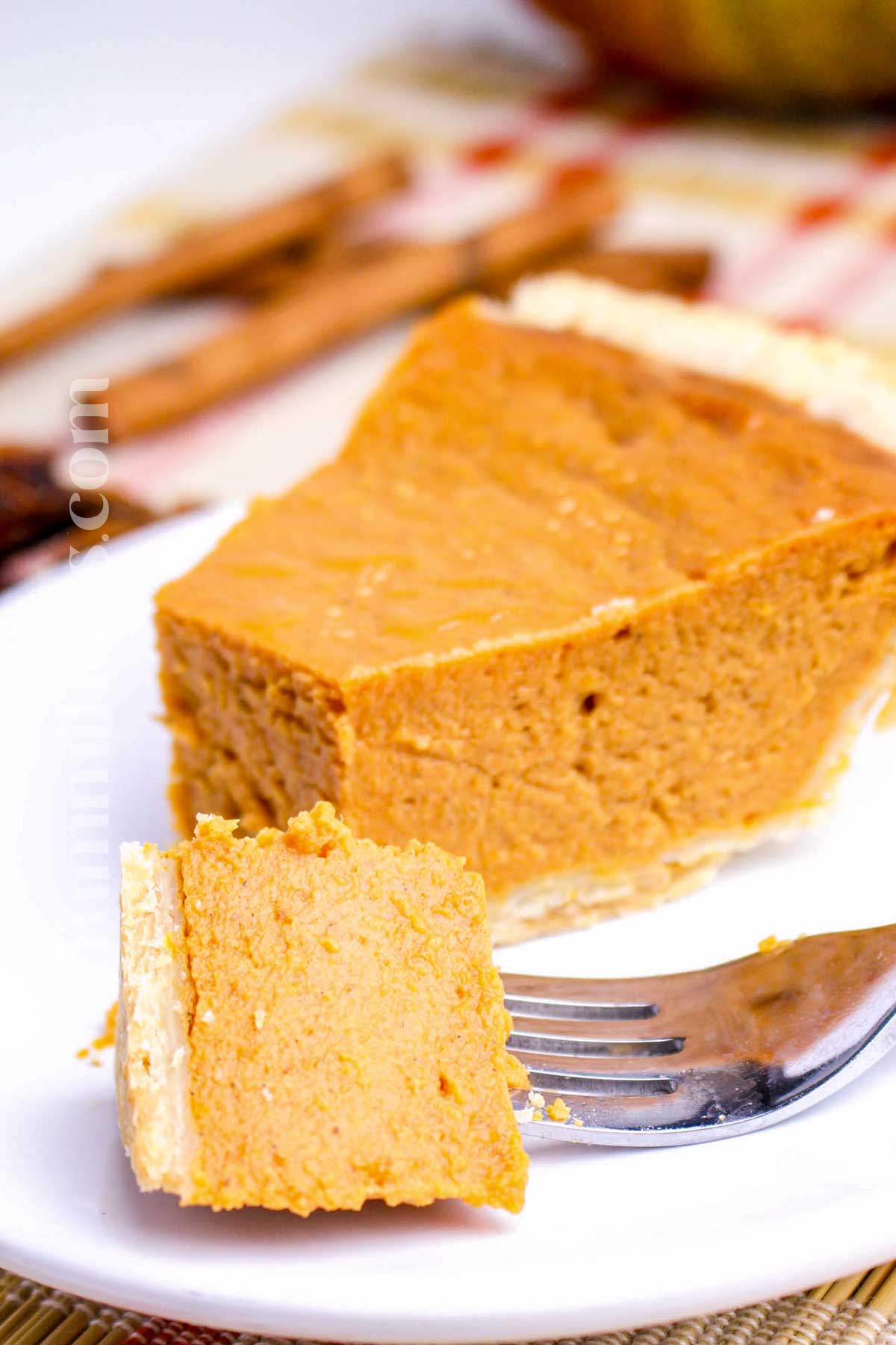 slice of holiday pie