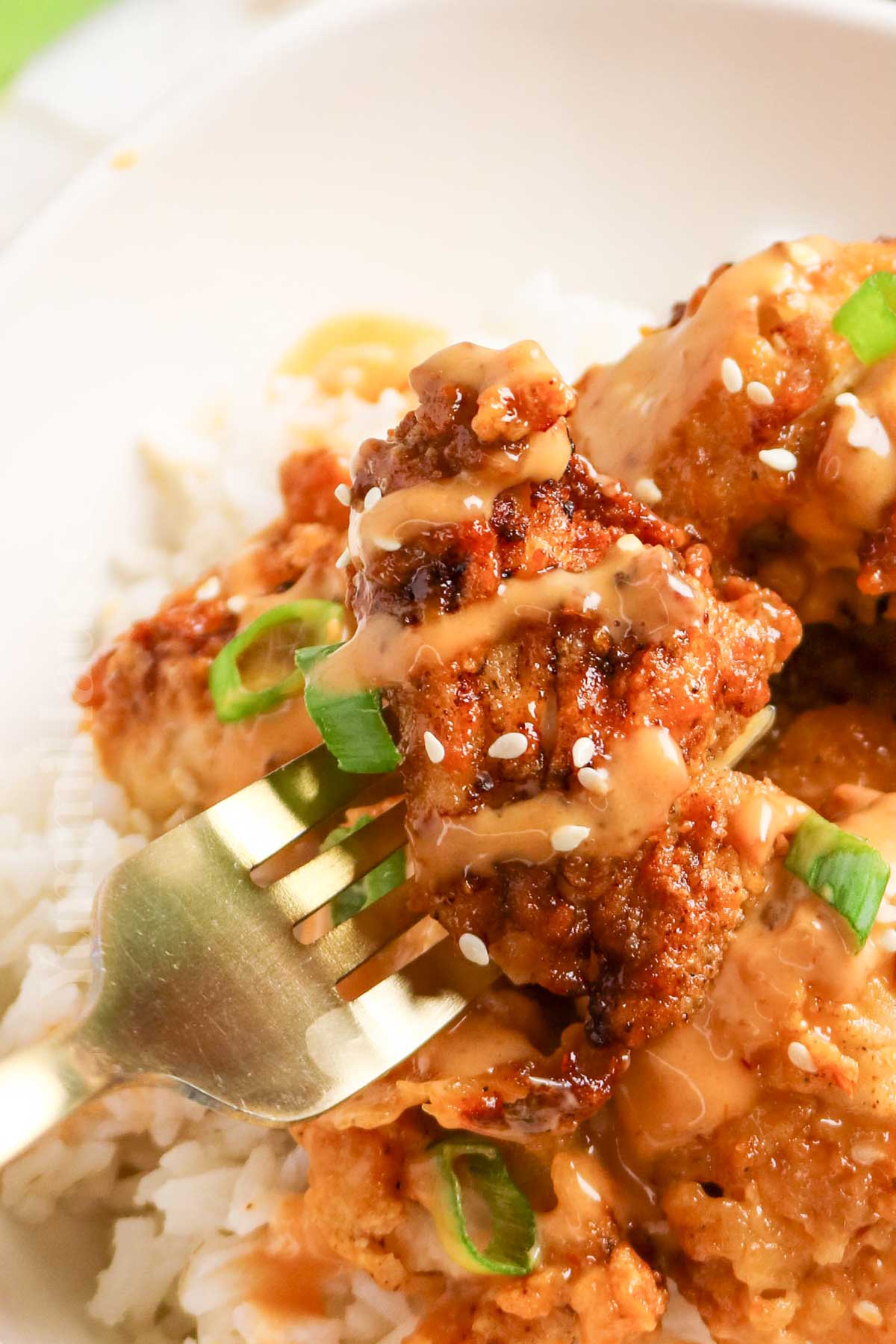 sauce chicken on rice