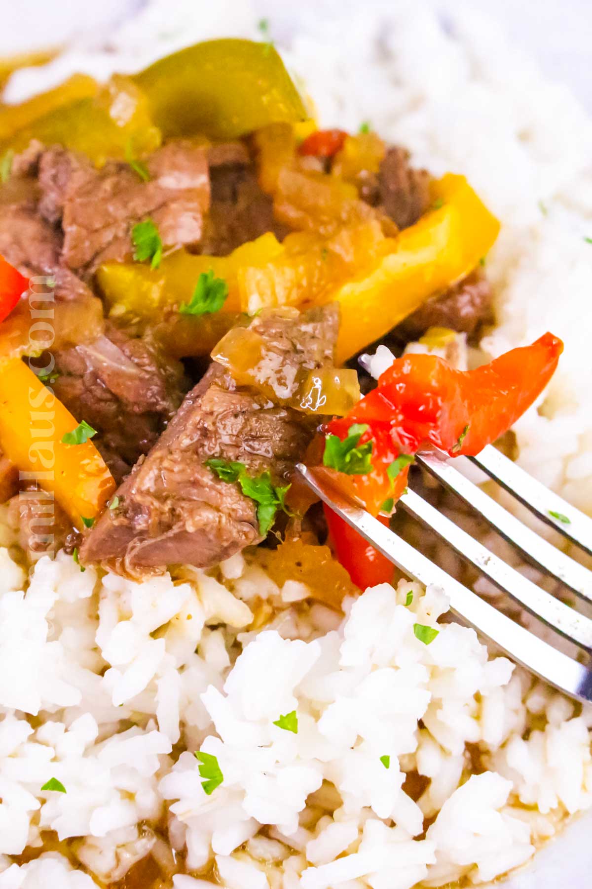 Slow Cooker Pepper Steak