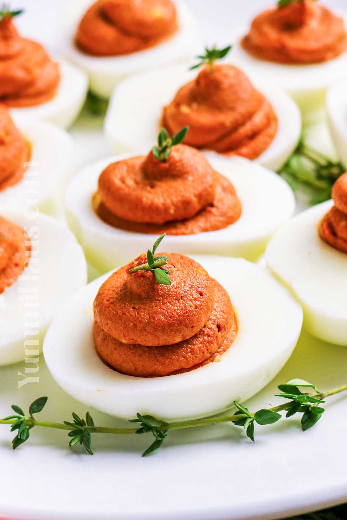 Thanksgiving side dish