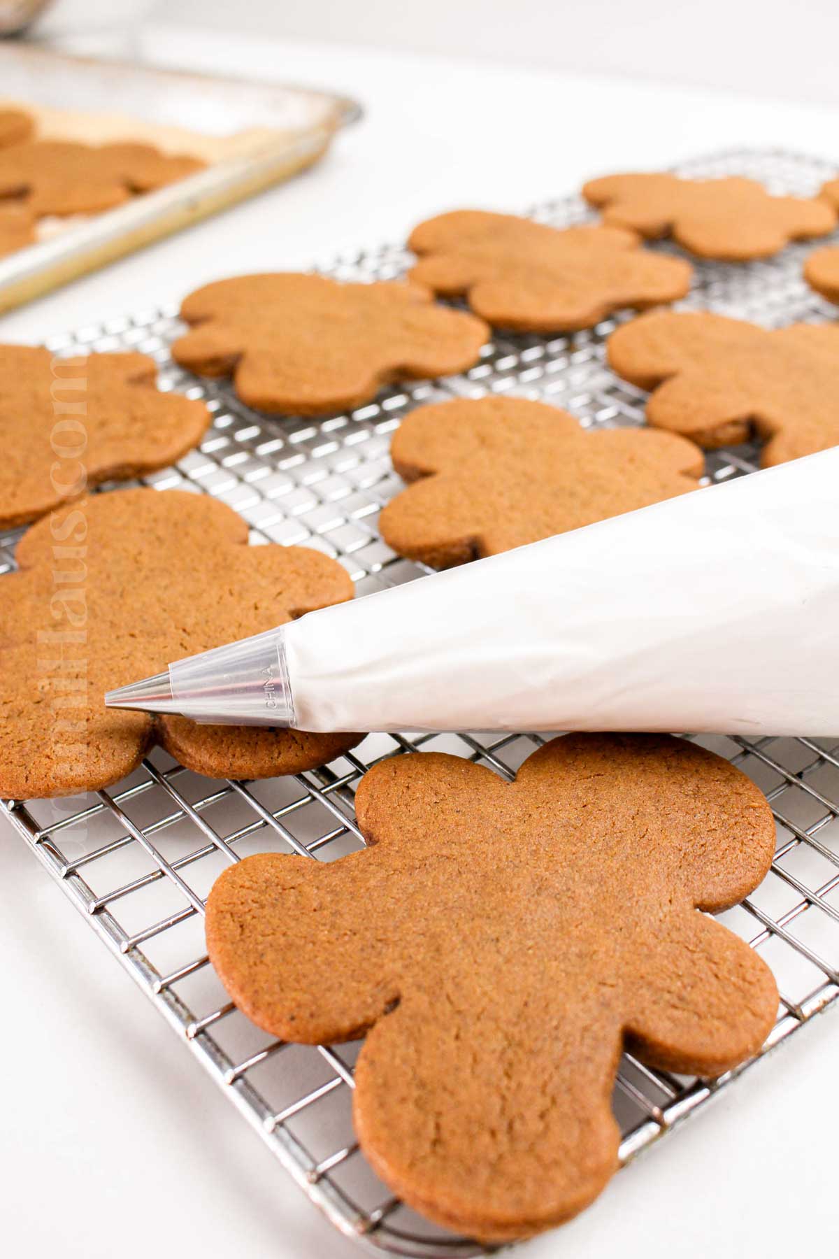 ready to decorate with icing
