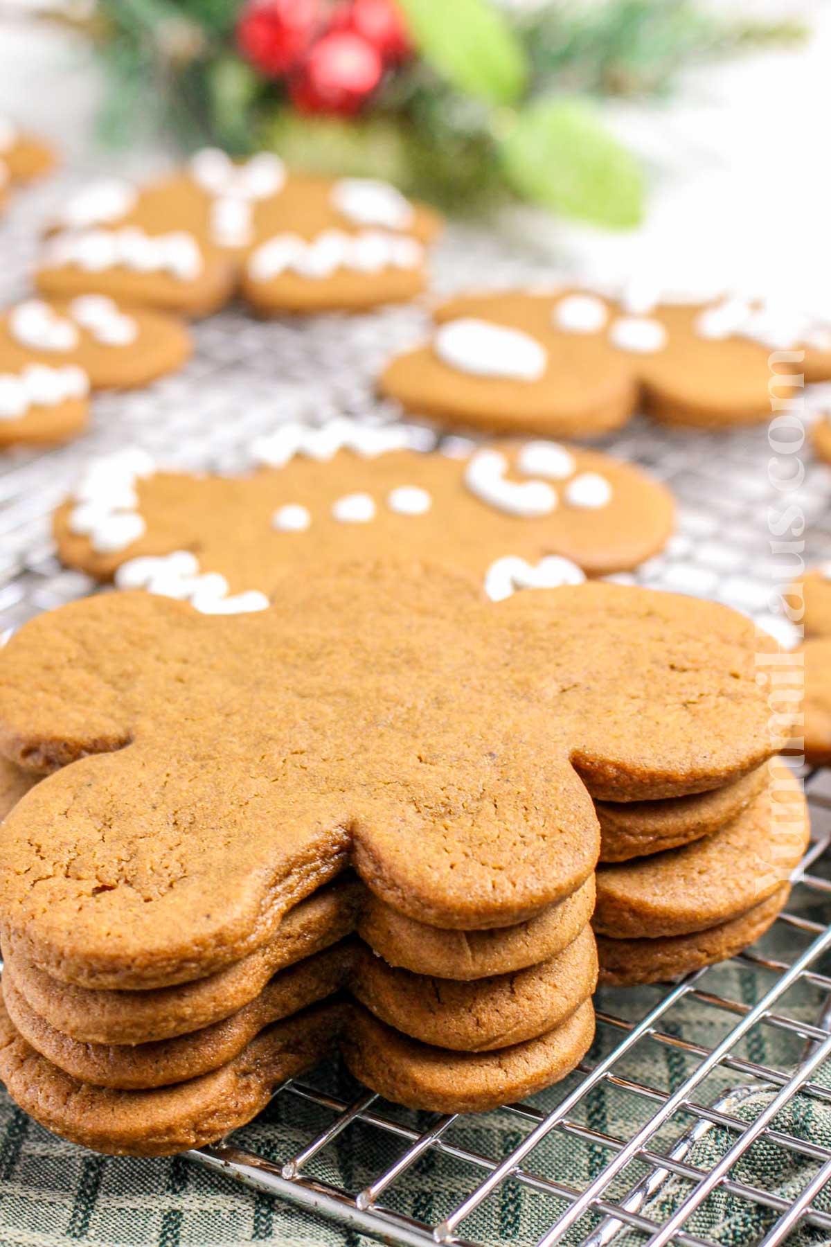 simple gingerbread cookies