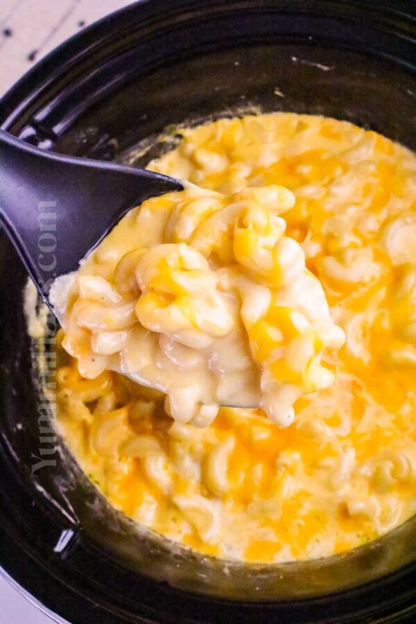 Slow Cooker Macaroni and Cheese (with Velveeta and Evaporated Milk)