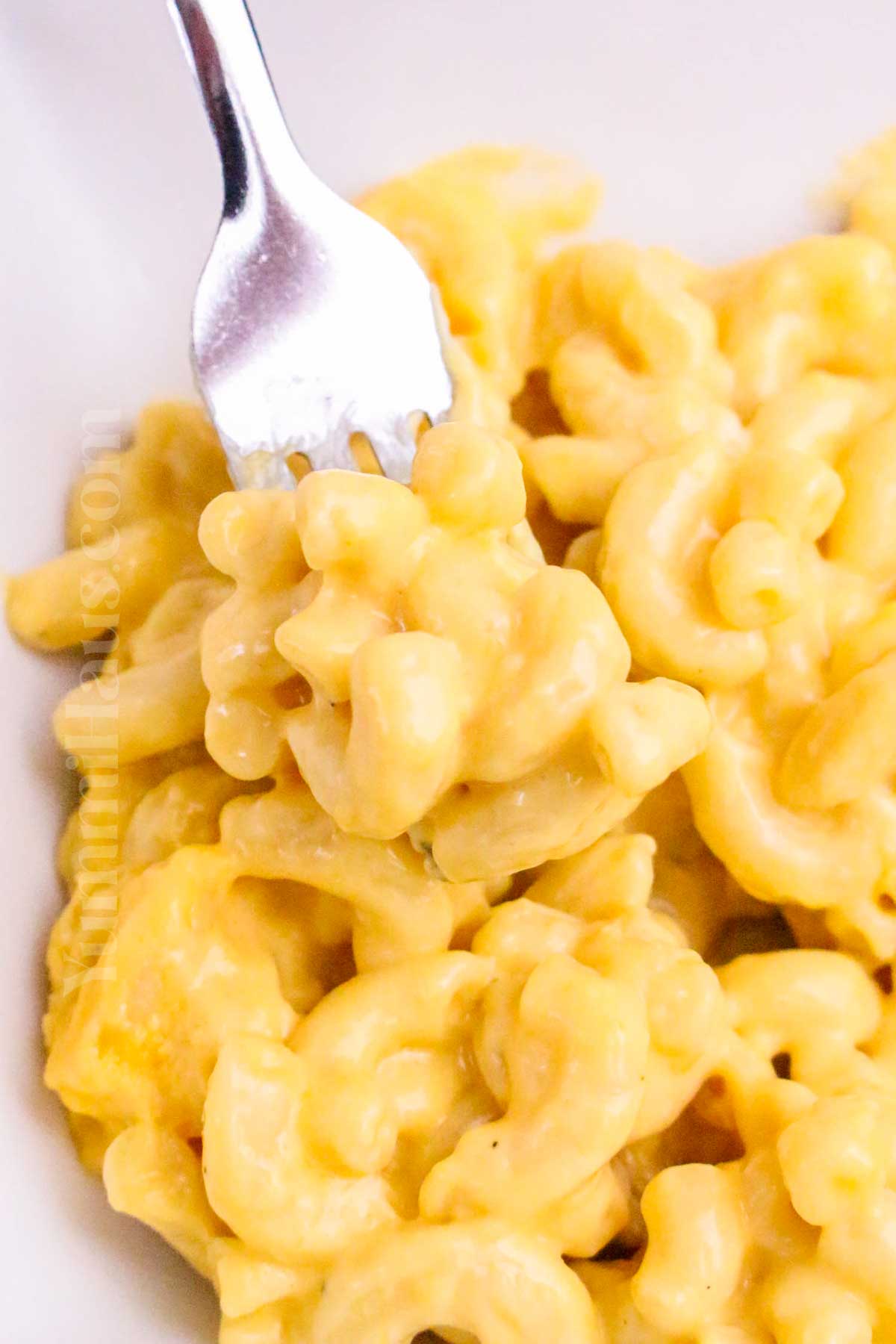 Slow Cooker Macaroni and Cheese recipe