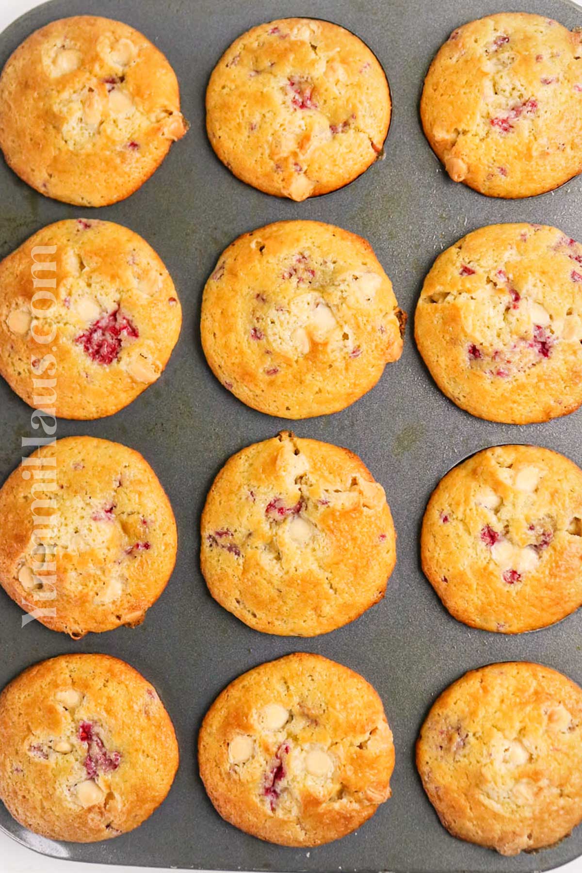 baked muffins for the morning