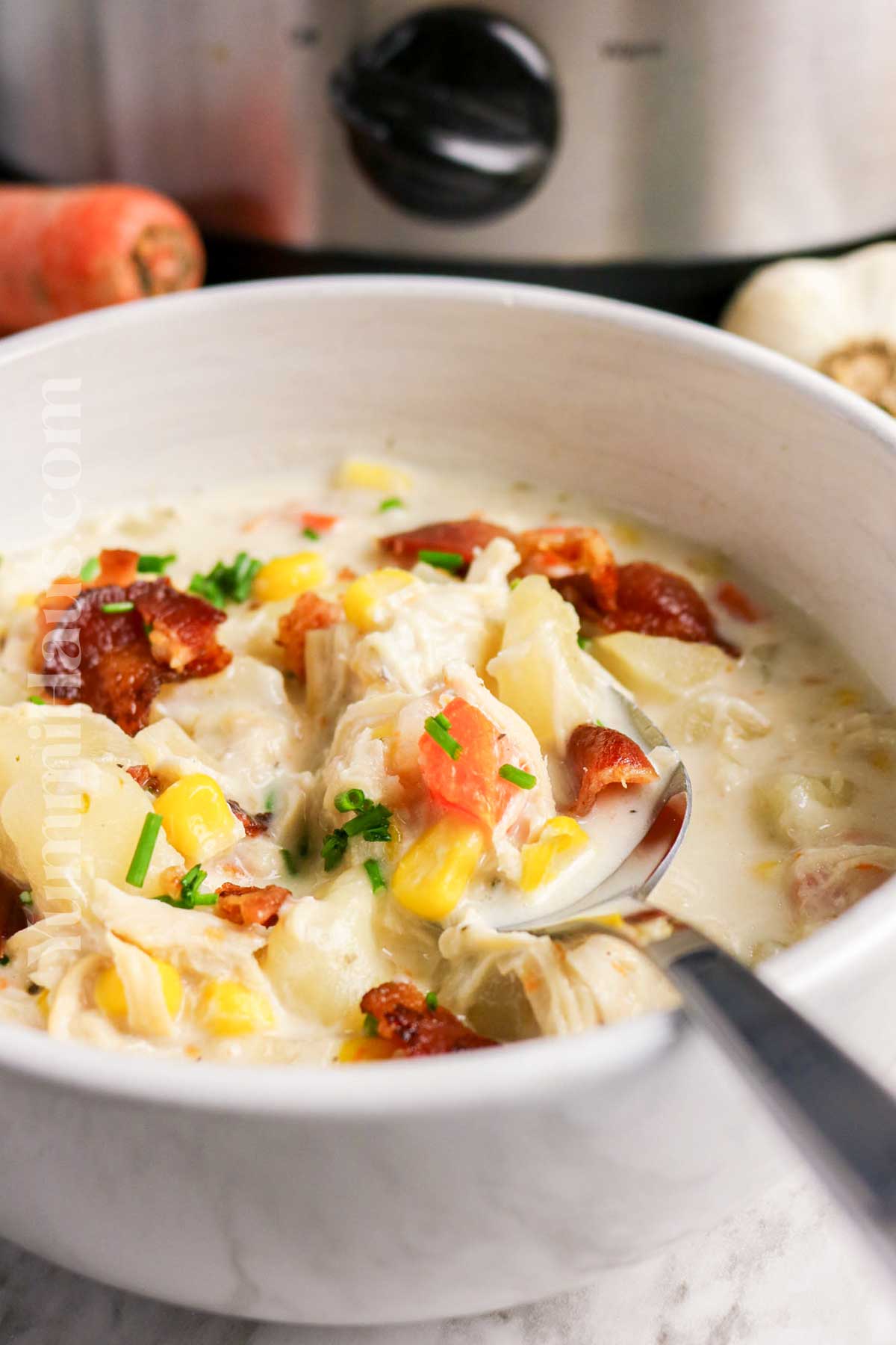 slow cooker dinner with chicken