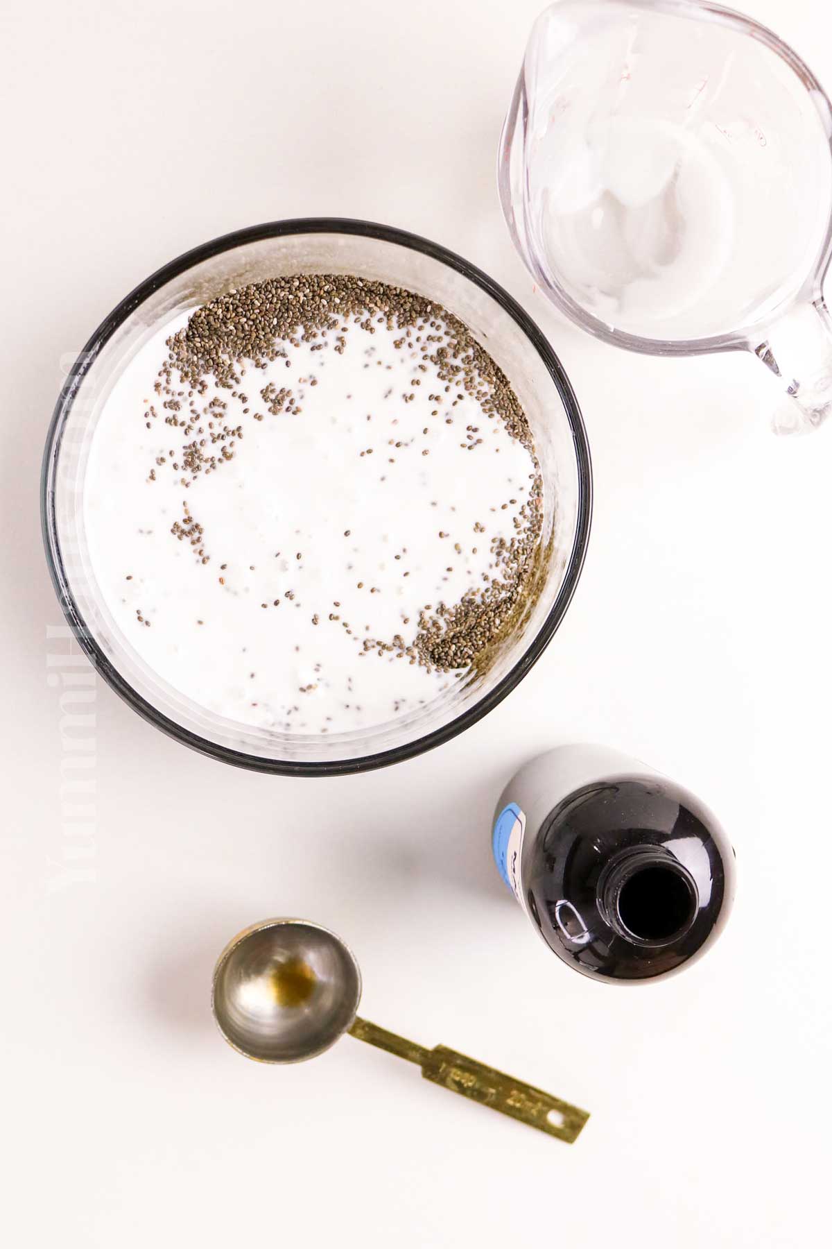 how to make Chia and Coconut Milk Pudding