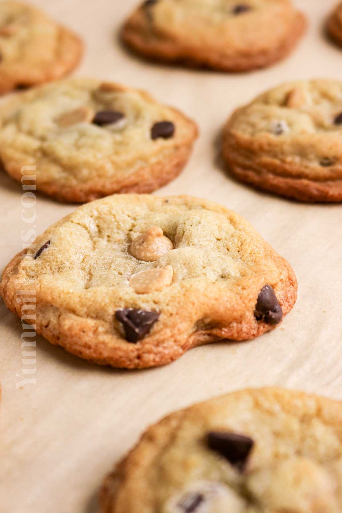 baked no chill cookies