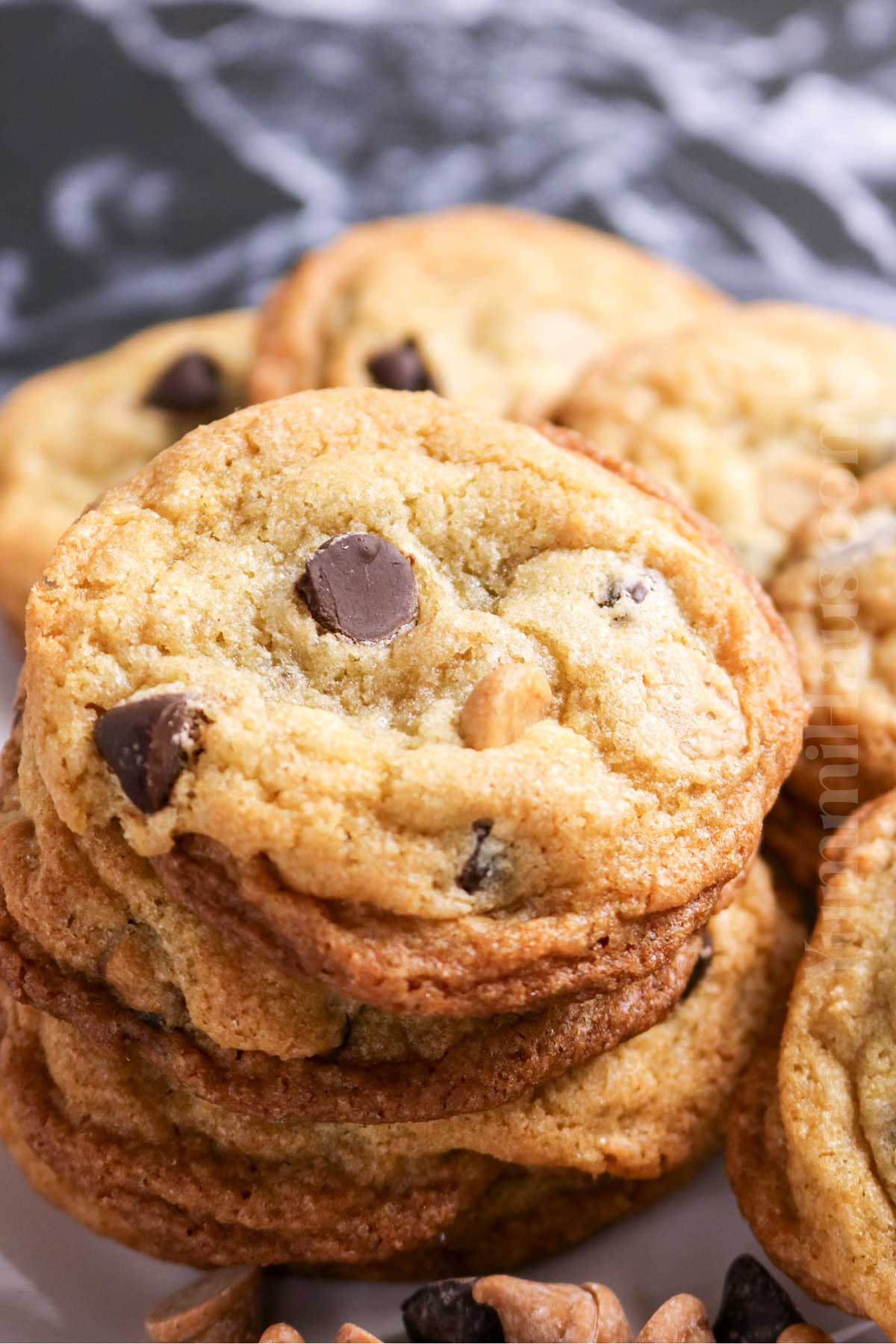 Chocolate Chip and Peanut Butter Chip Cookies recipe