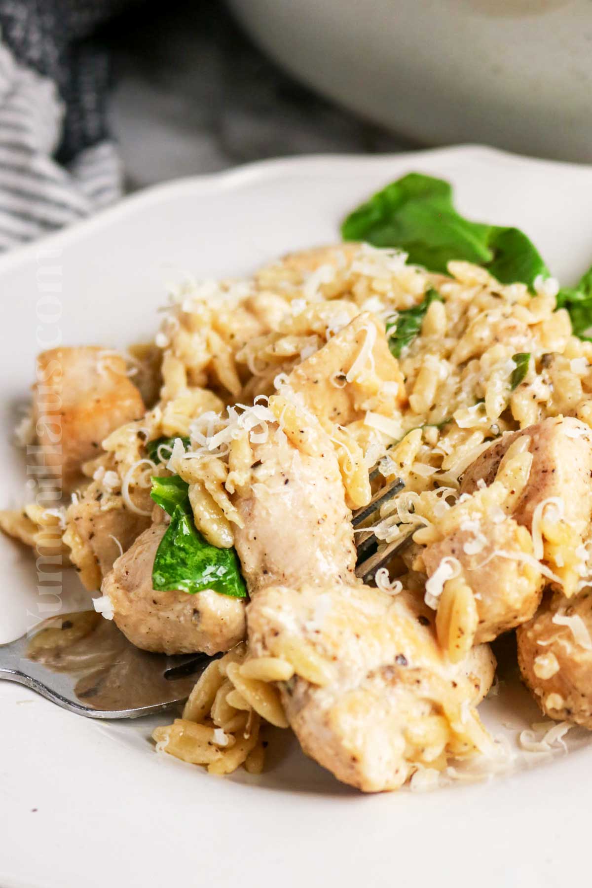 Lemon Chicken Orzo Pasta recipe