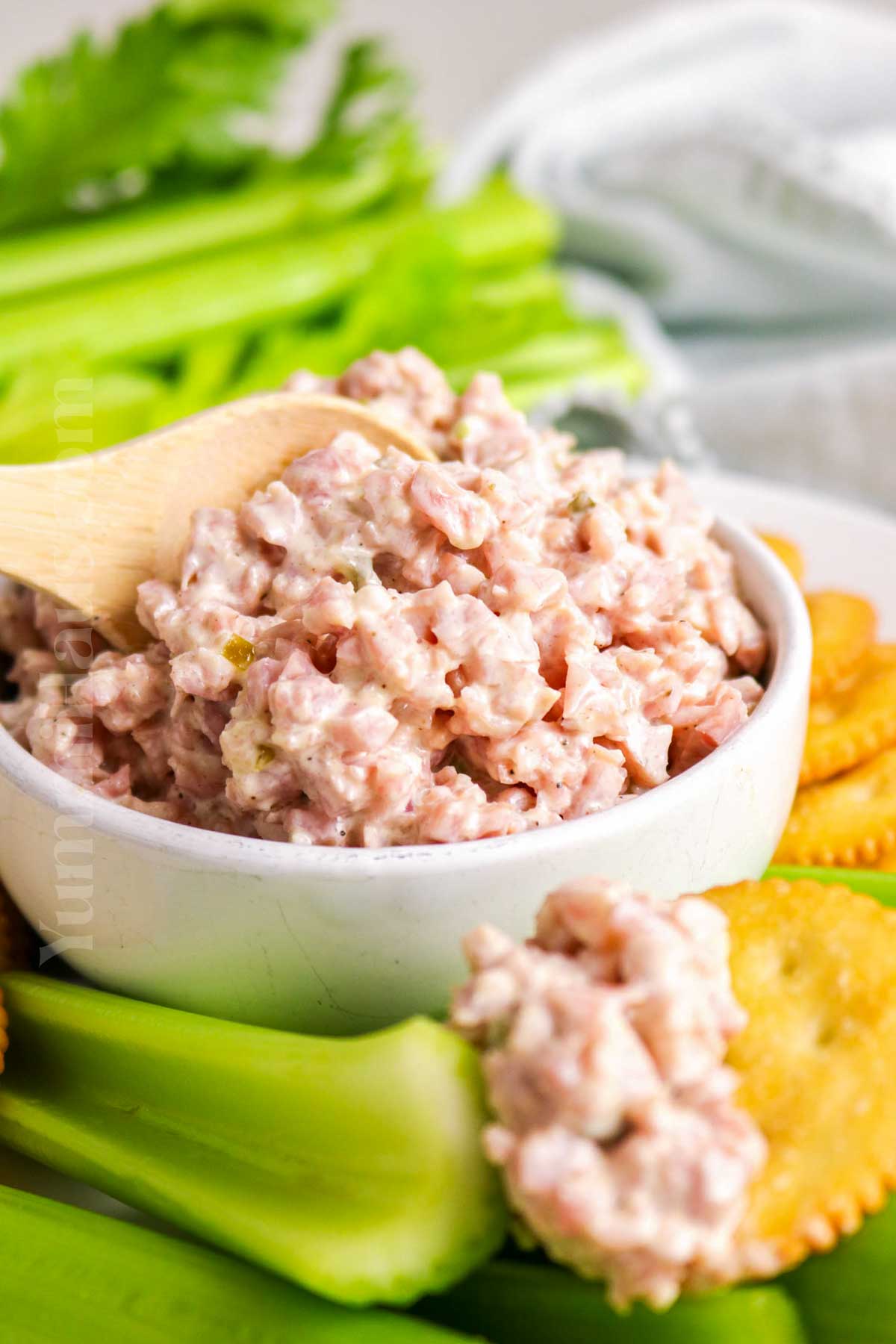 Ham Salad