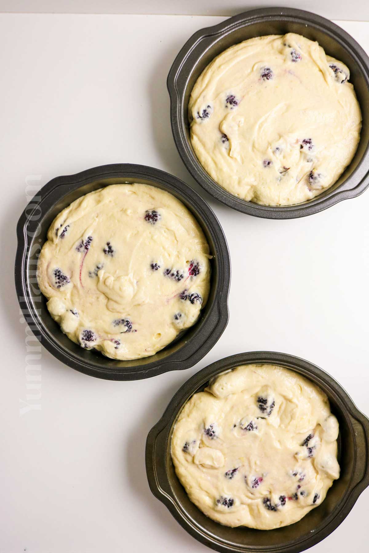 ready to bake cake layers
