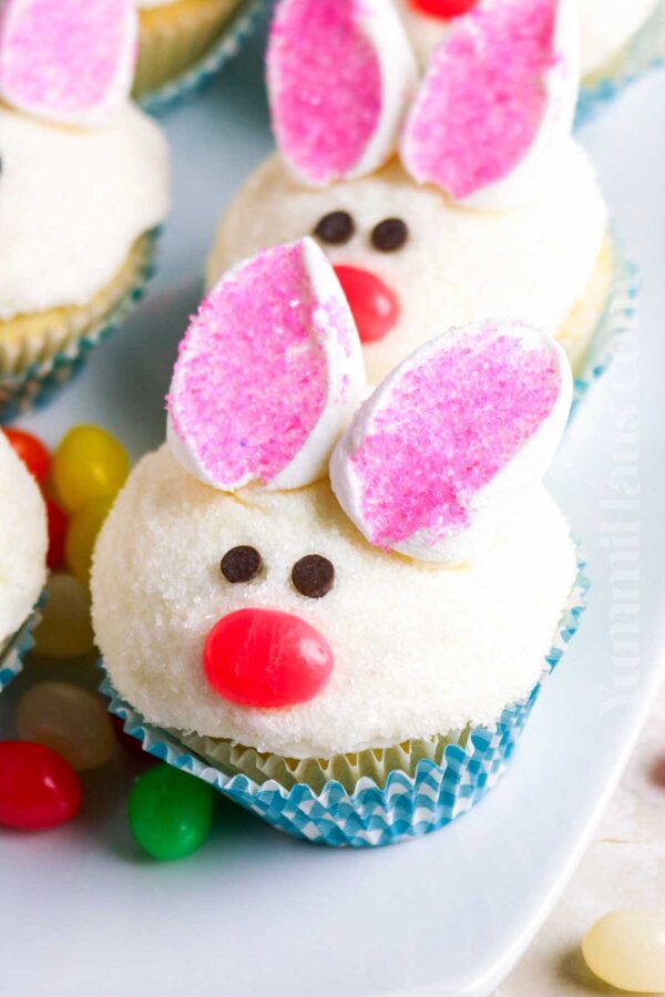 Bunny Rabbit Cupcakes