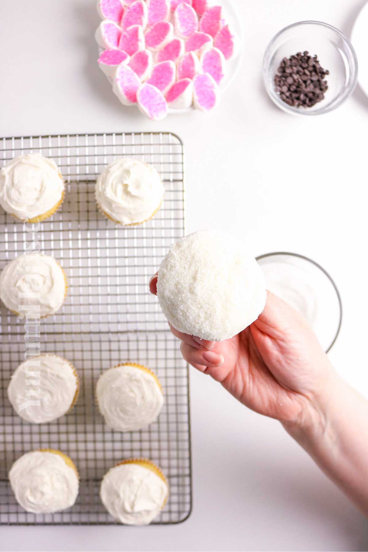 decorating cupcakes