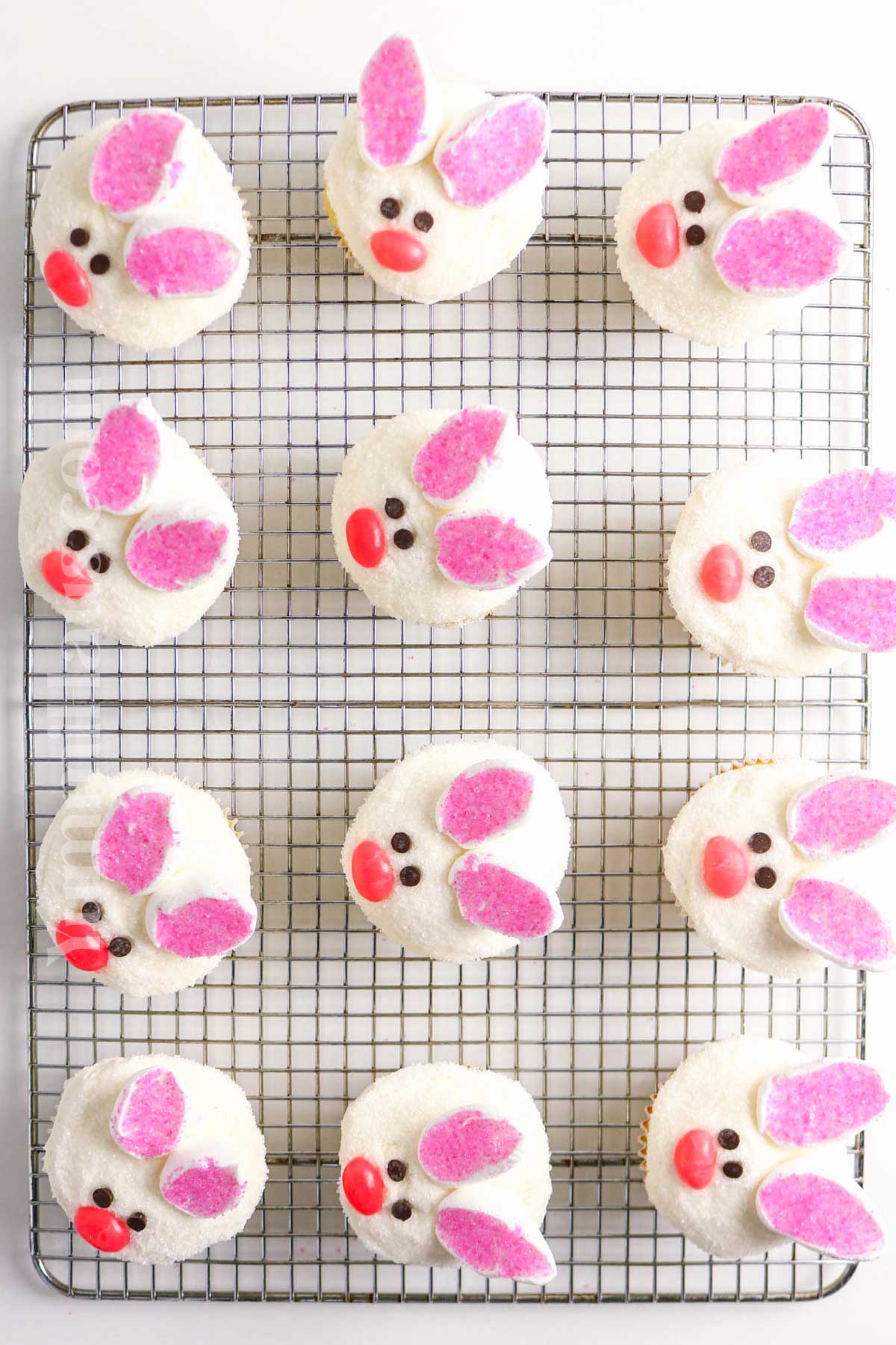 decorated bunnies
