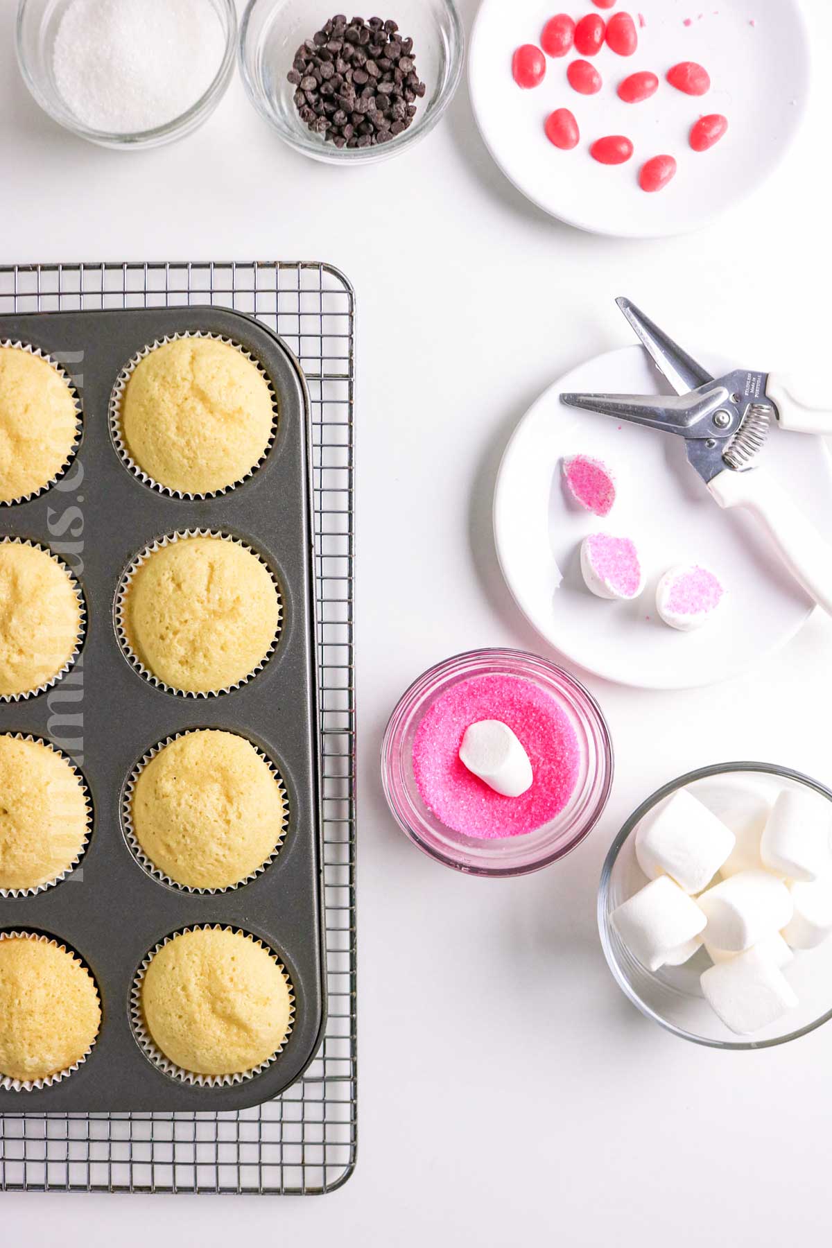how to make Bunny Rabbit Cupcakes