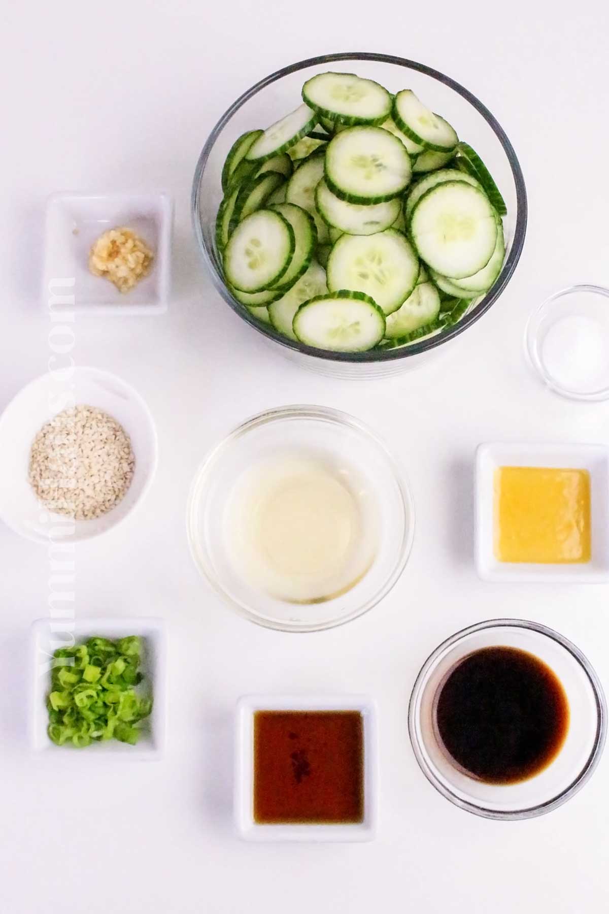 Asian Cucumber Salad ingredients