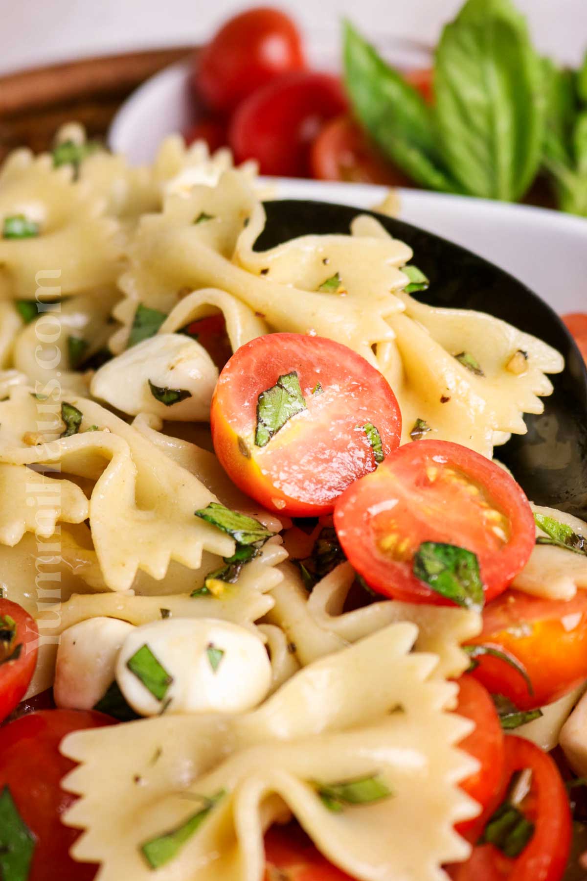 Caprese Salad Pasta Salad recipe