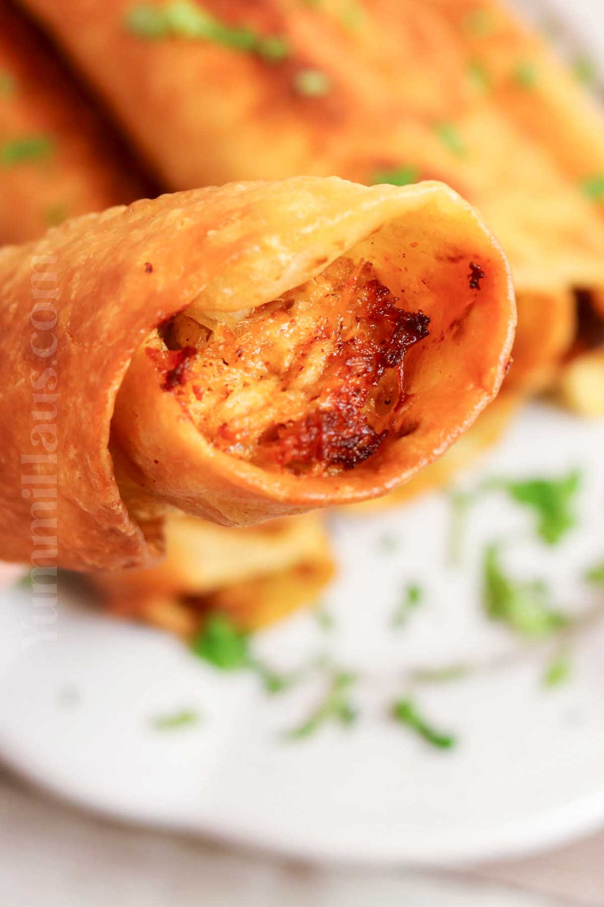 pollo flautas