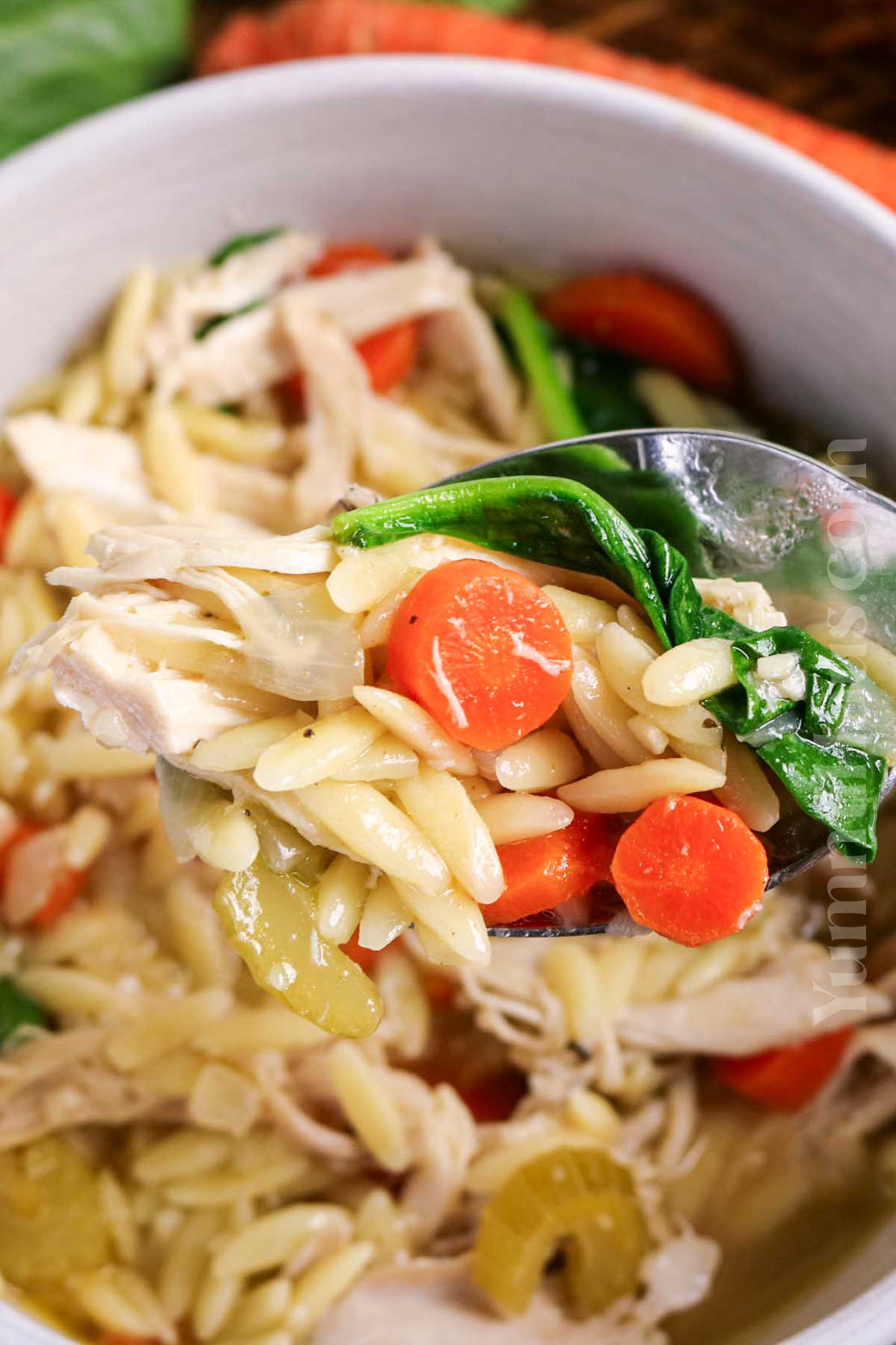 Chicken and Orzo