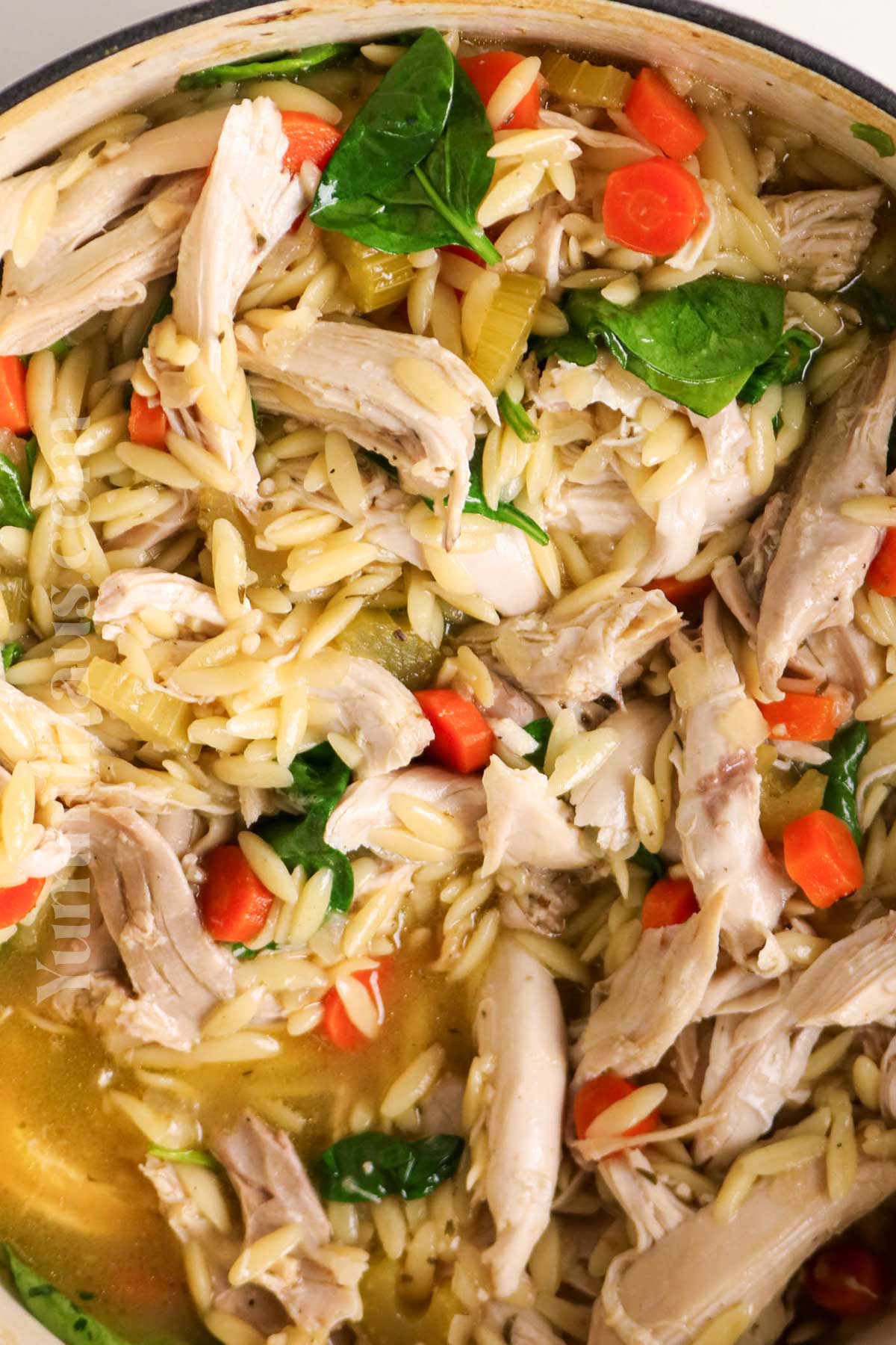 pulled chicken