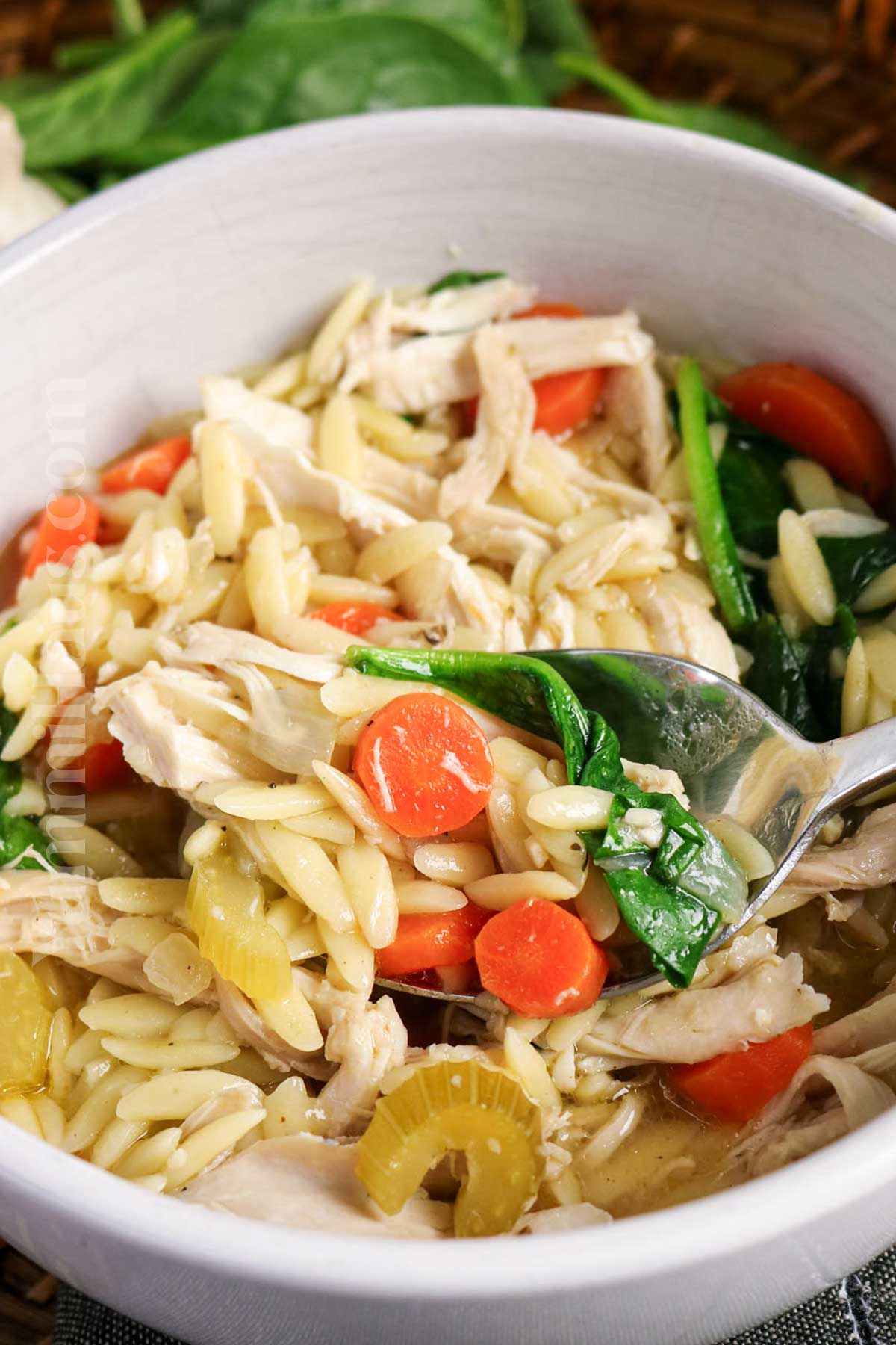 Chicken and Orzo recipe