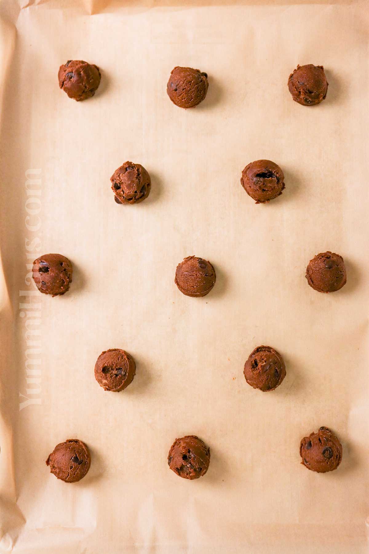 how to make Chocolate Chocolate Chip Peanut Butter Cookies