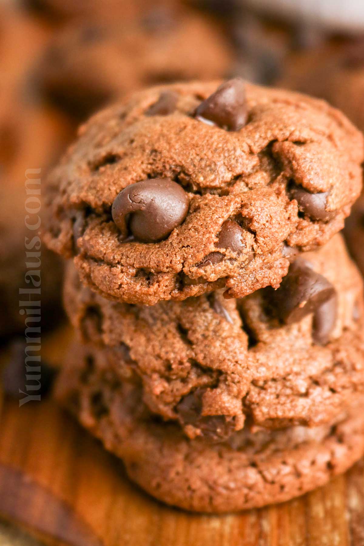 Chocolate Chocolate Chip Peanut Butter Cookies recipe