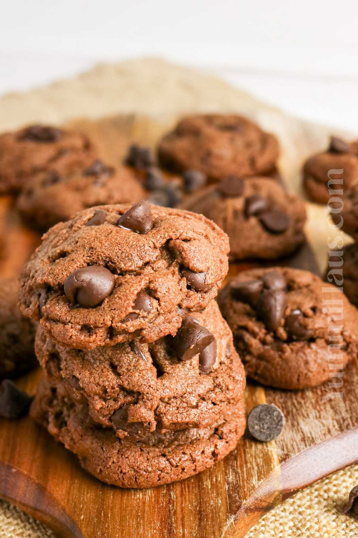 chocolate peanut butter treat