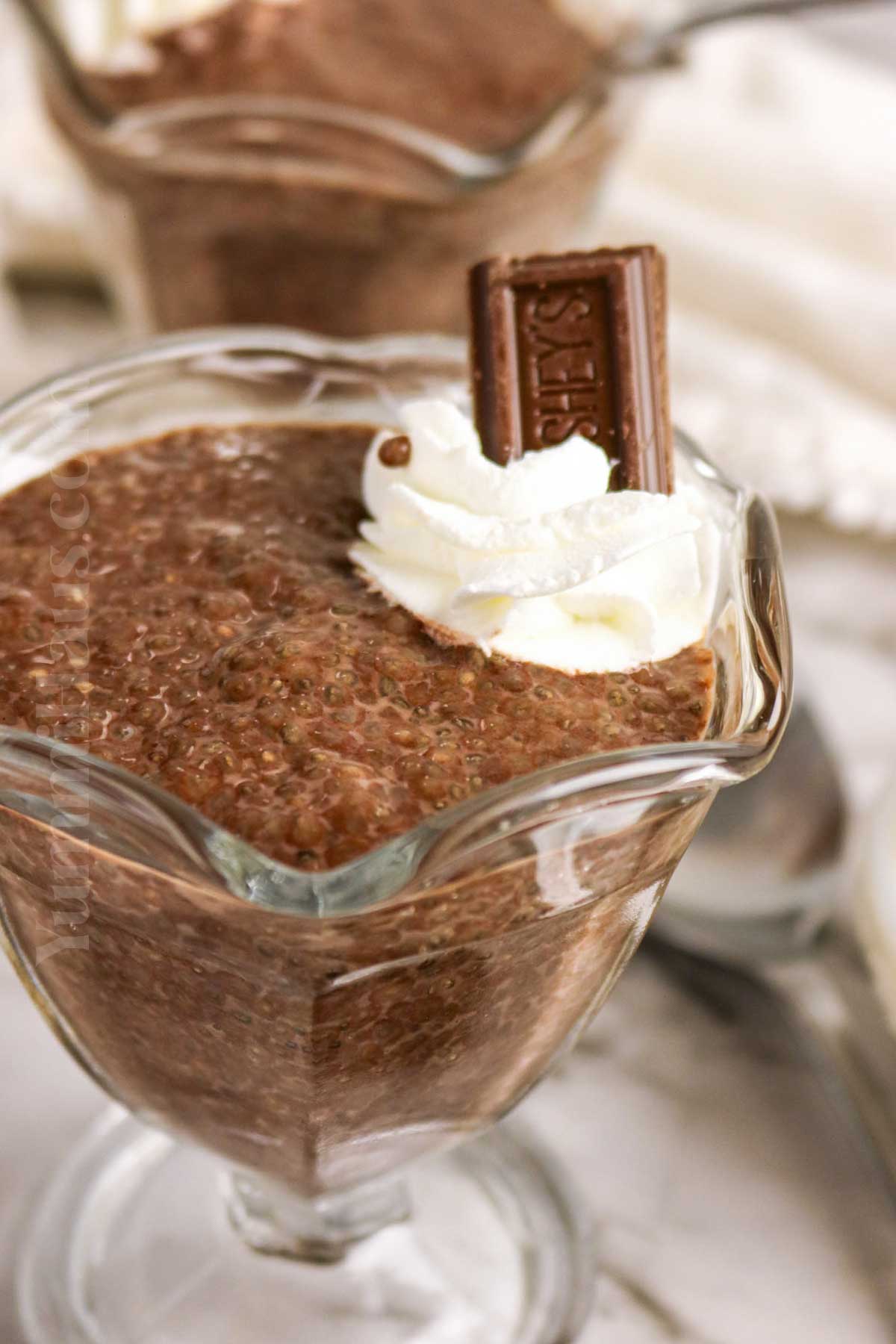 Chocolate Chia Seed Pudding