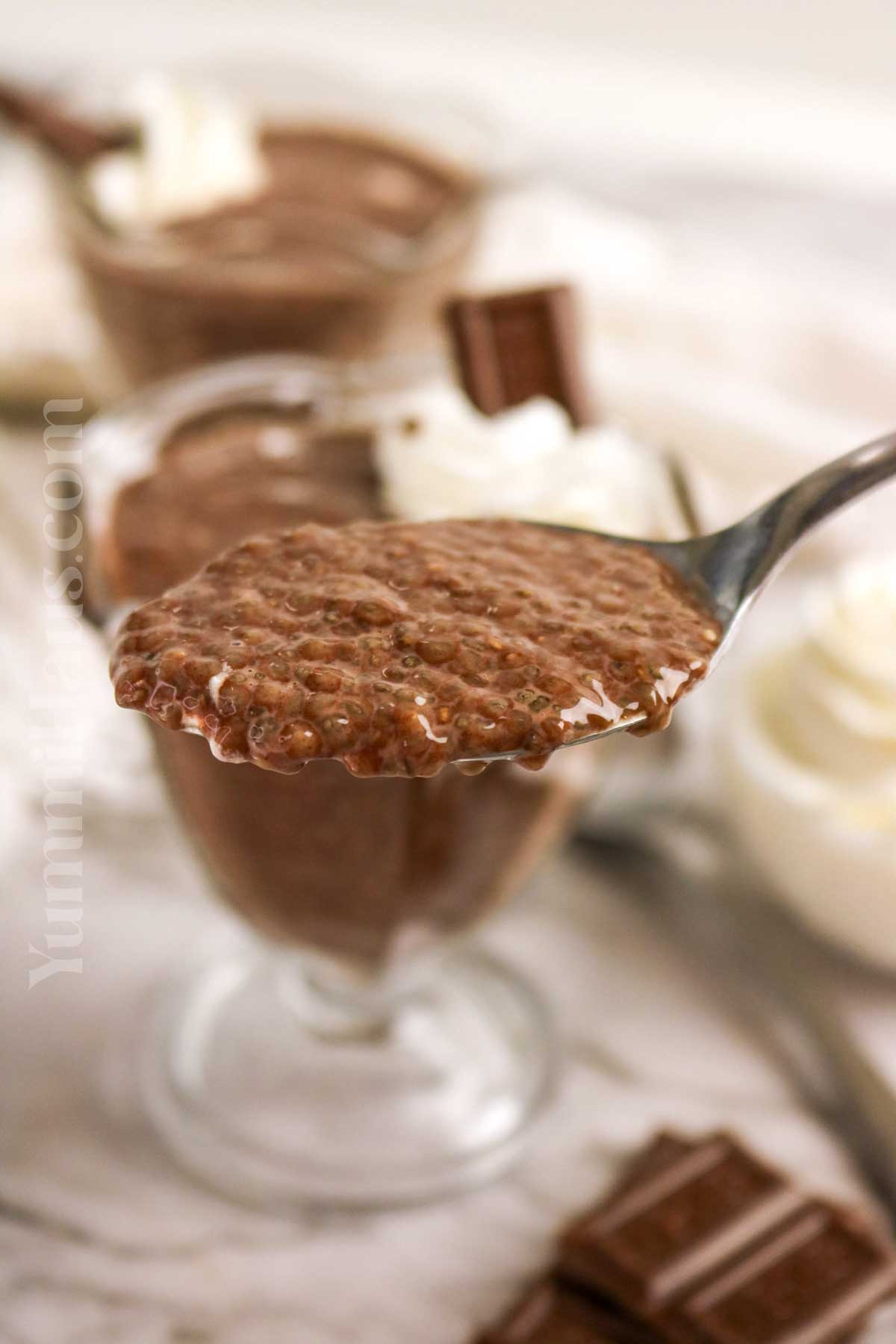 chia dessert