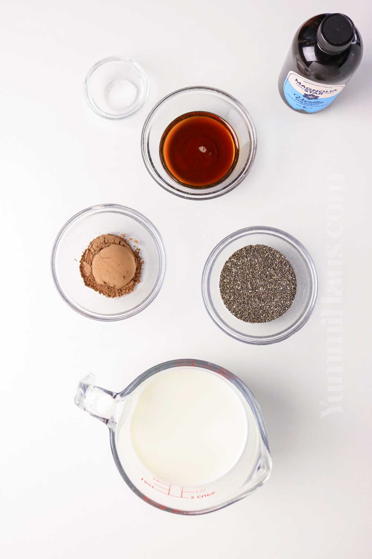 Chocolate Chia Seed Pudding ingredients