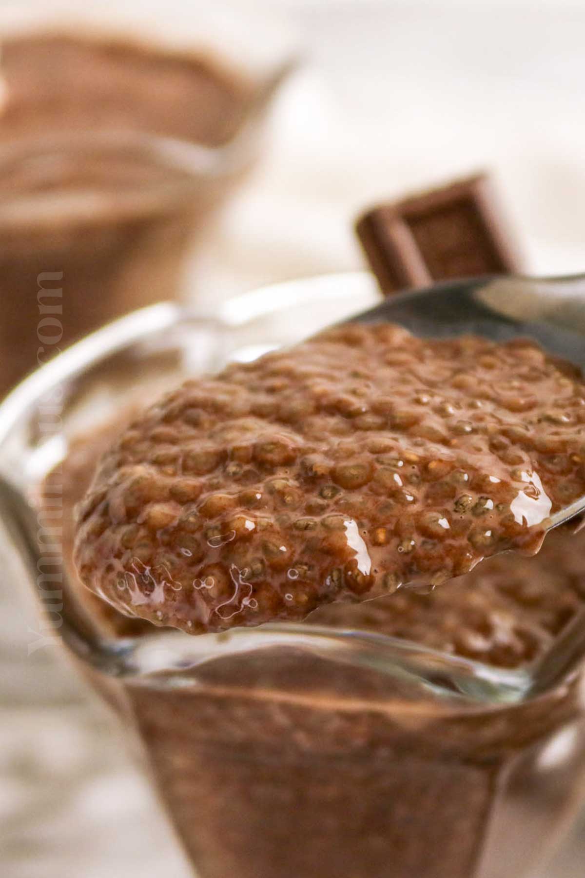 Chocolate Chia Seed Pudding recipe