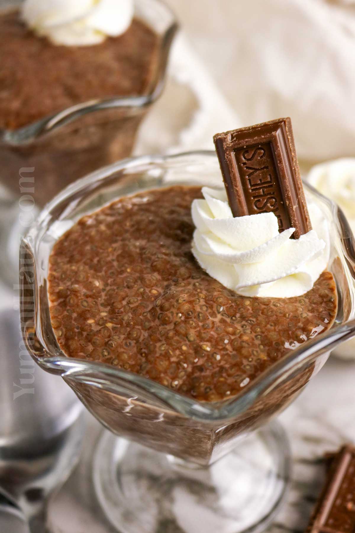 chocolate sweet treat