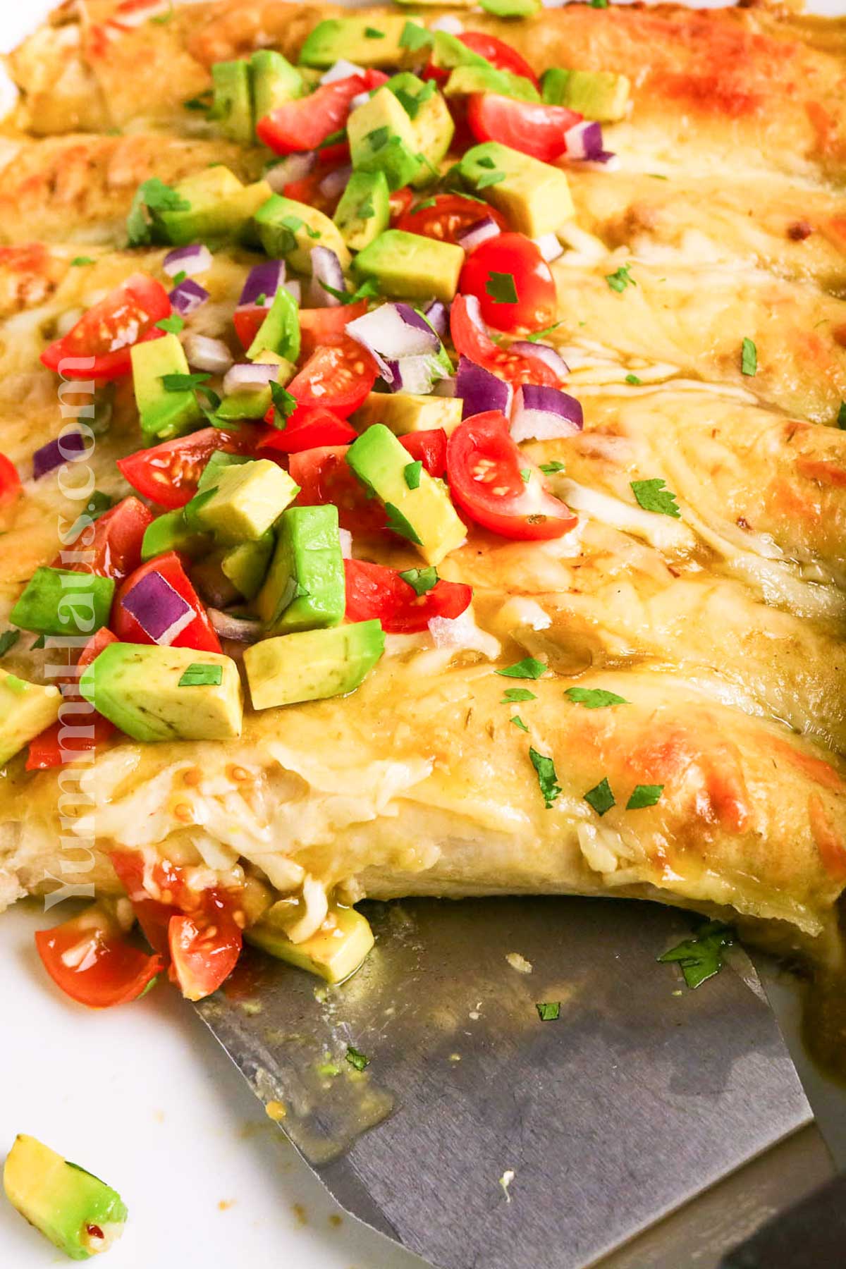 Cream Cheese Chicken Enchiladas
