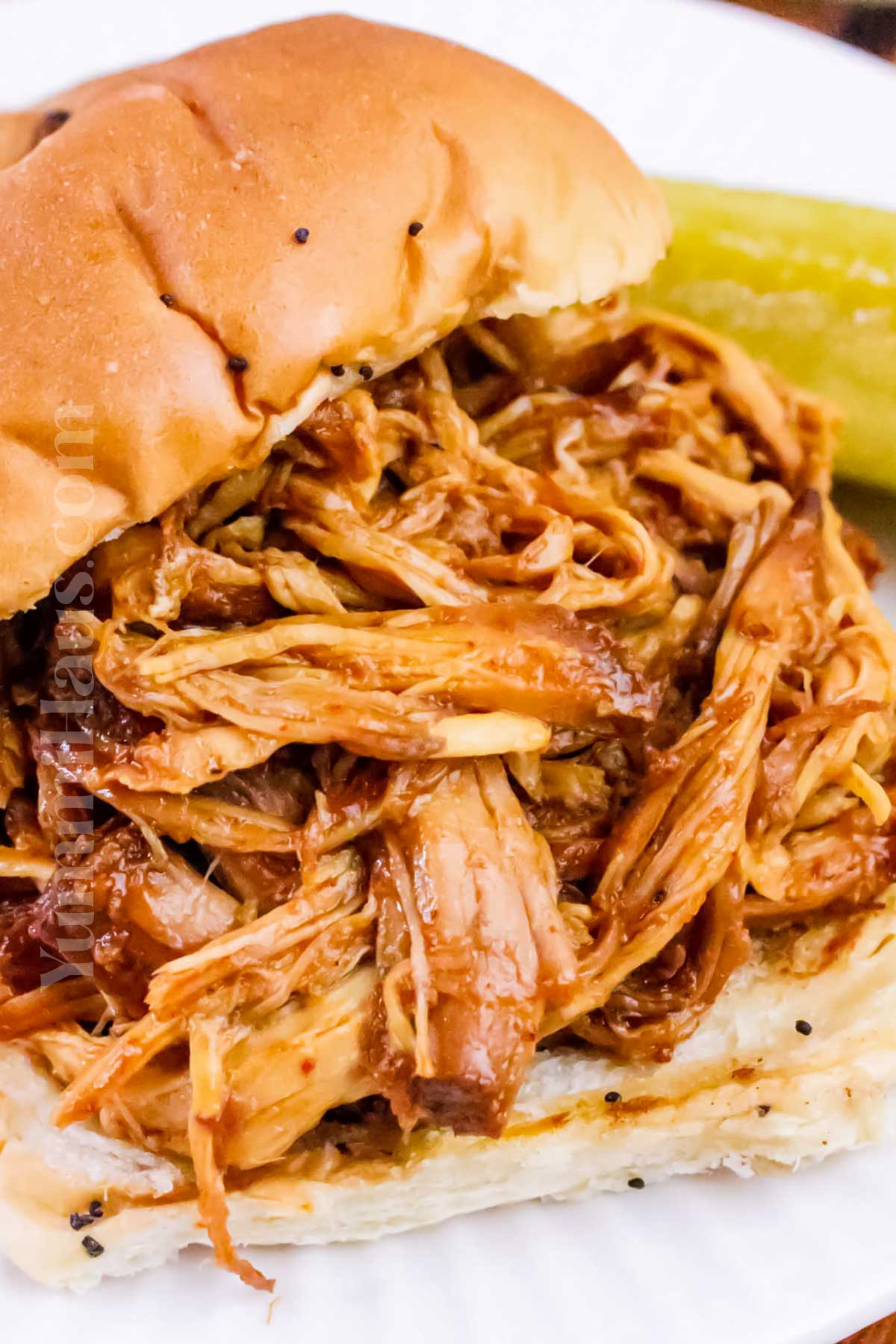 saucy pork