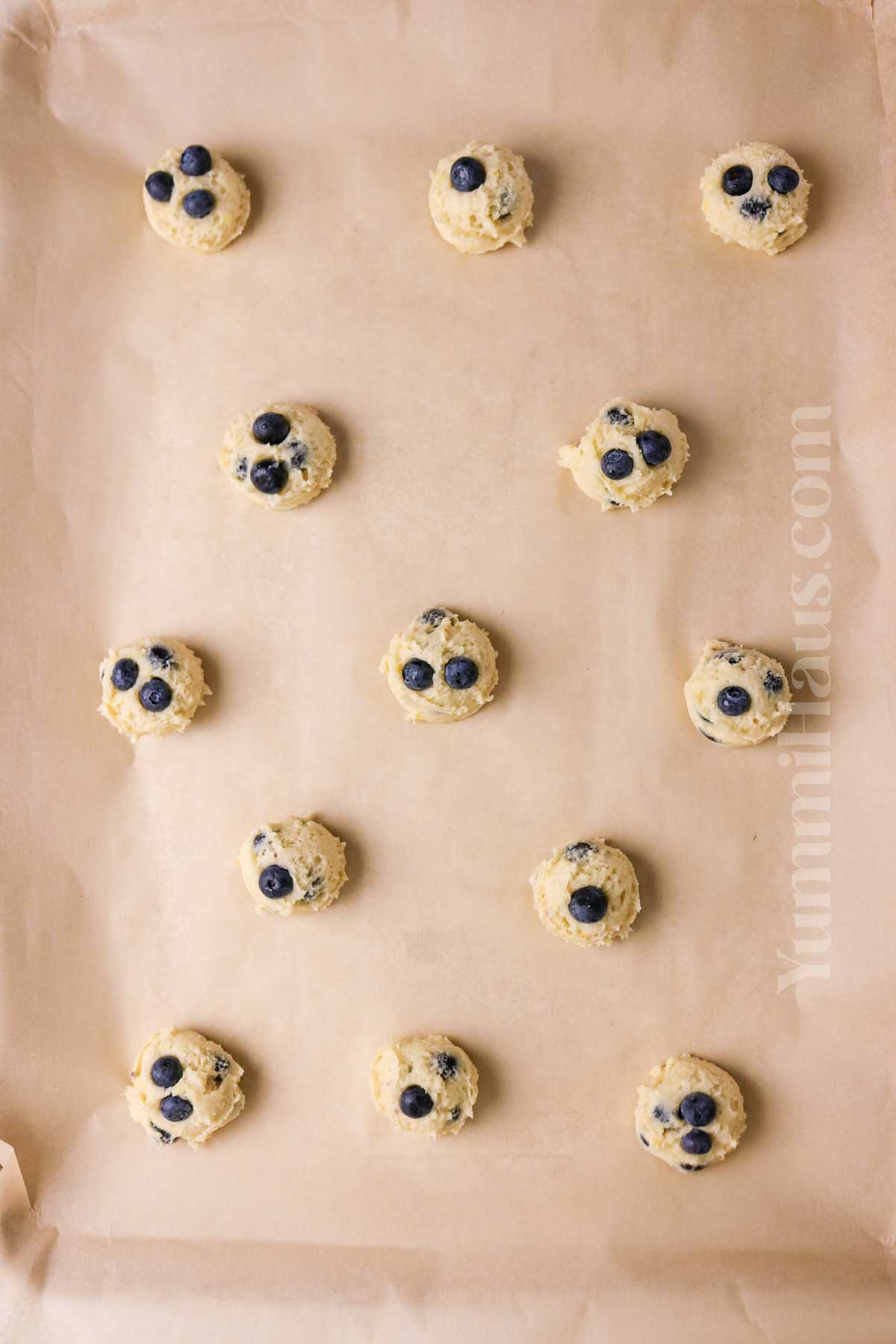 how to make Lemon Blueberry Cookies
