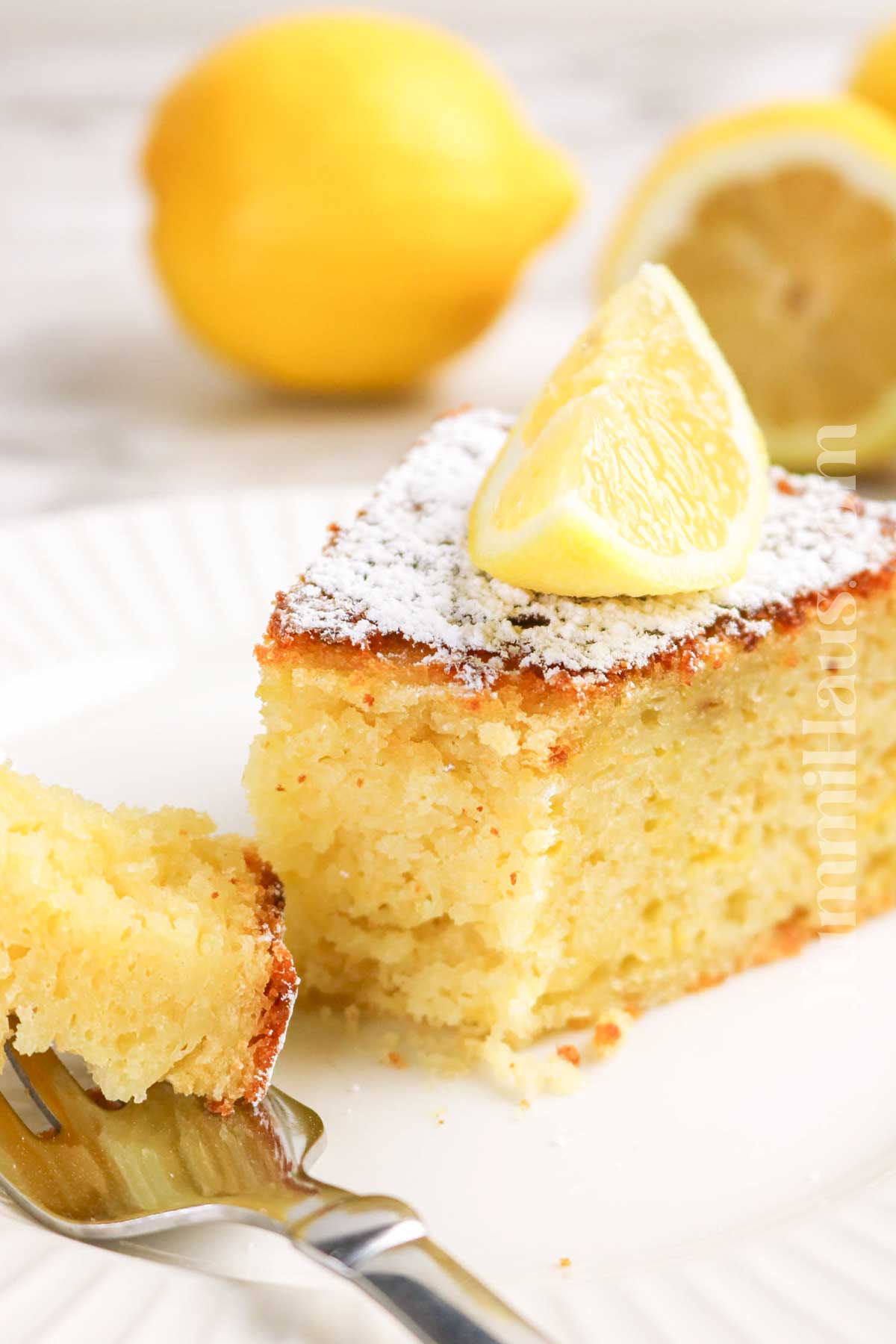 cake slice