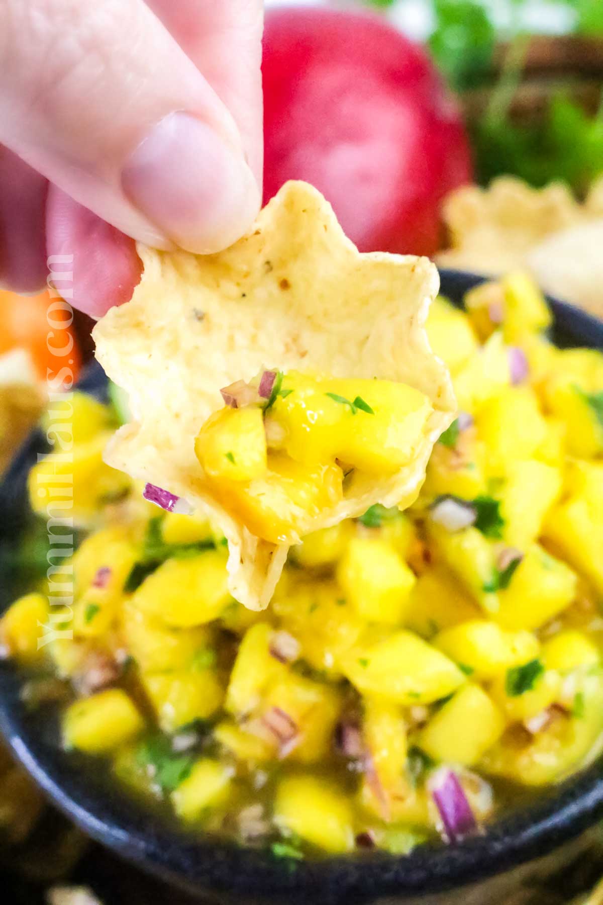 salsa appetizer