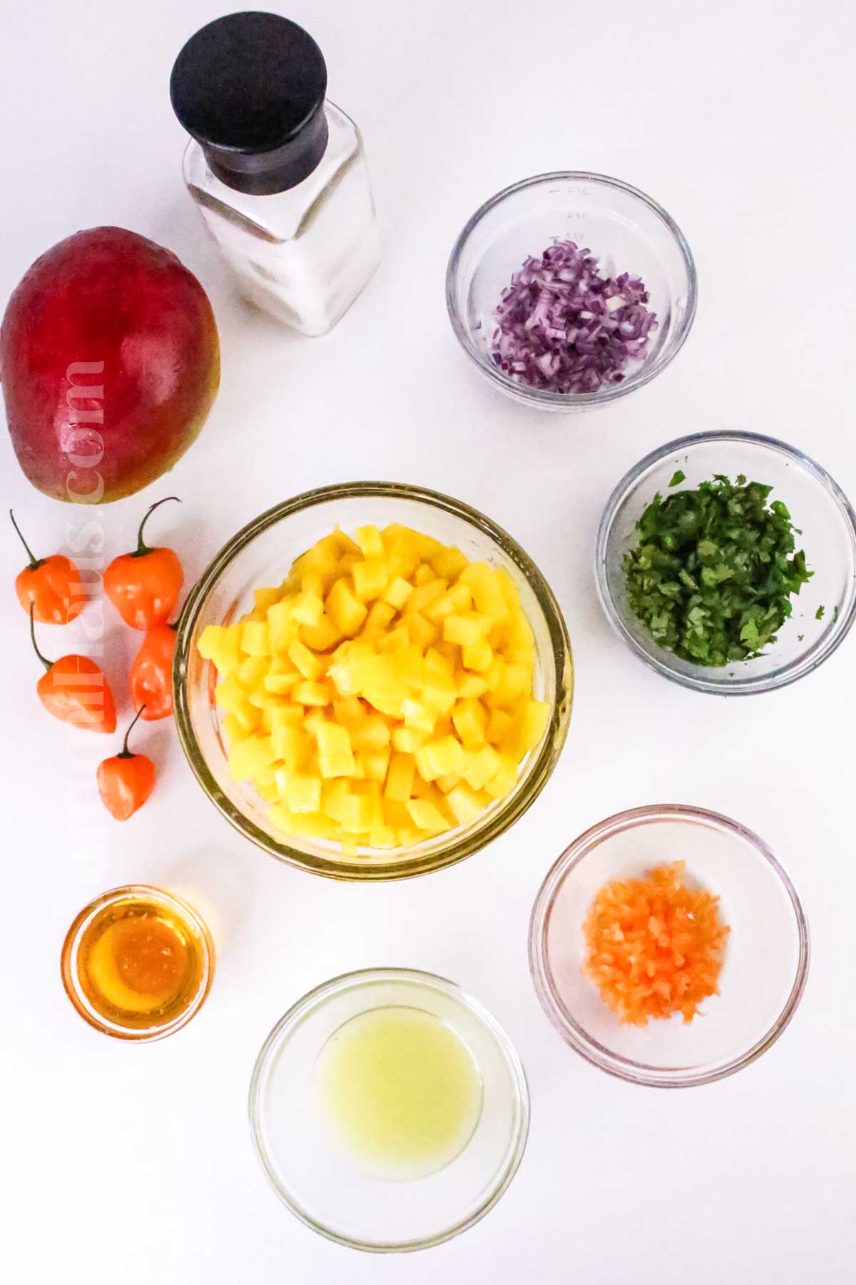 Mango Habanero Salsa ingredients
