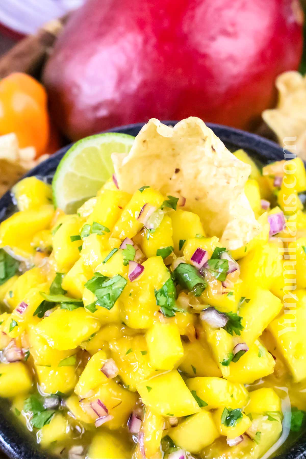 mango snack