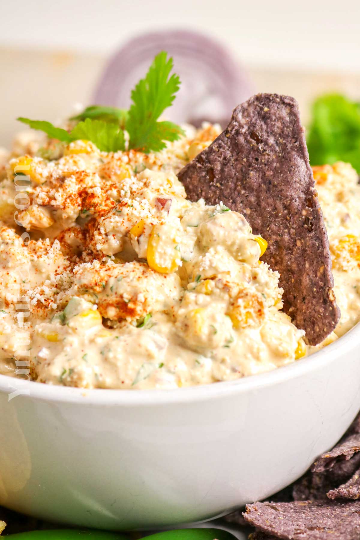Mexican Street Corn Dip