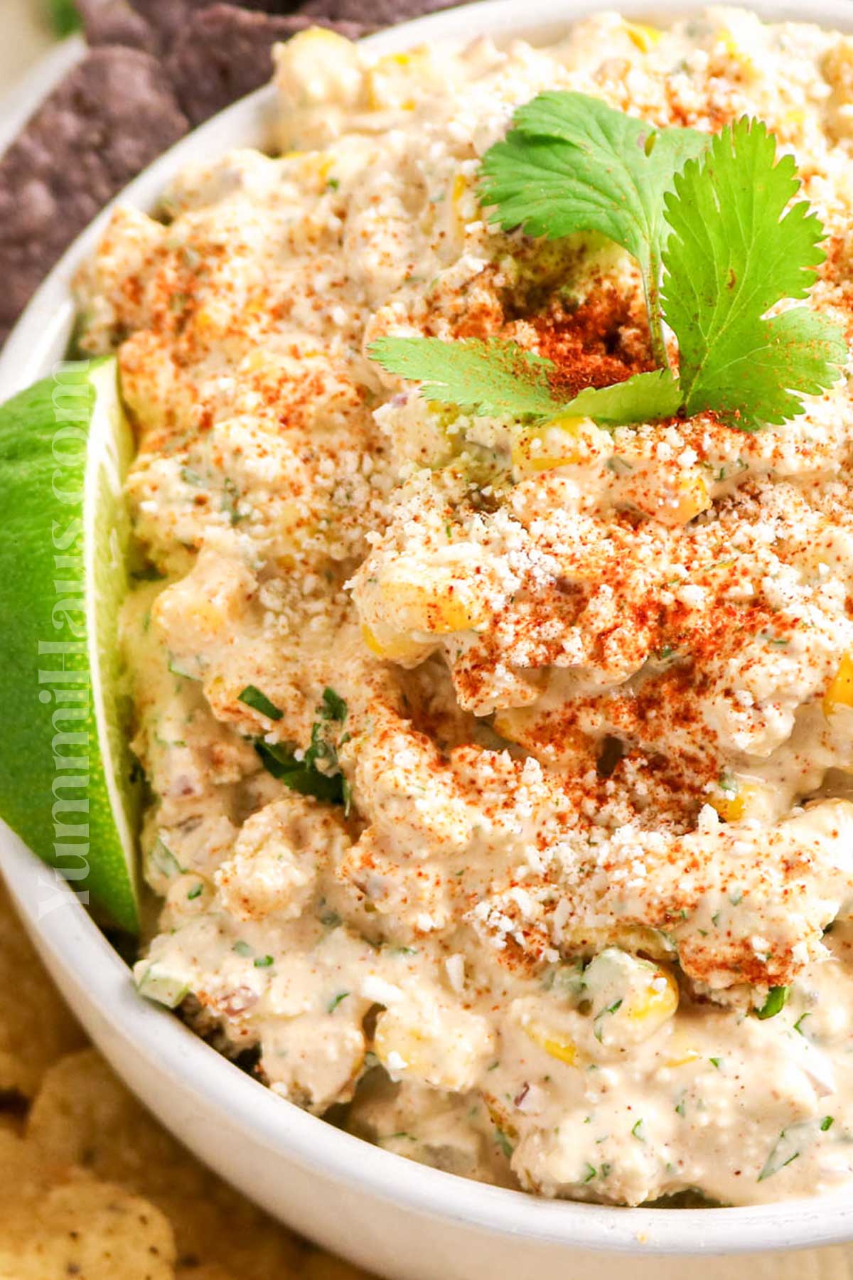 Mexican snack dip