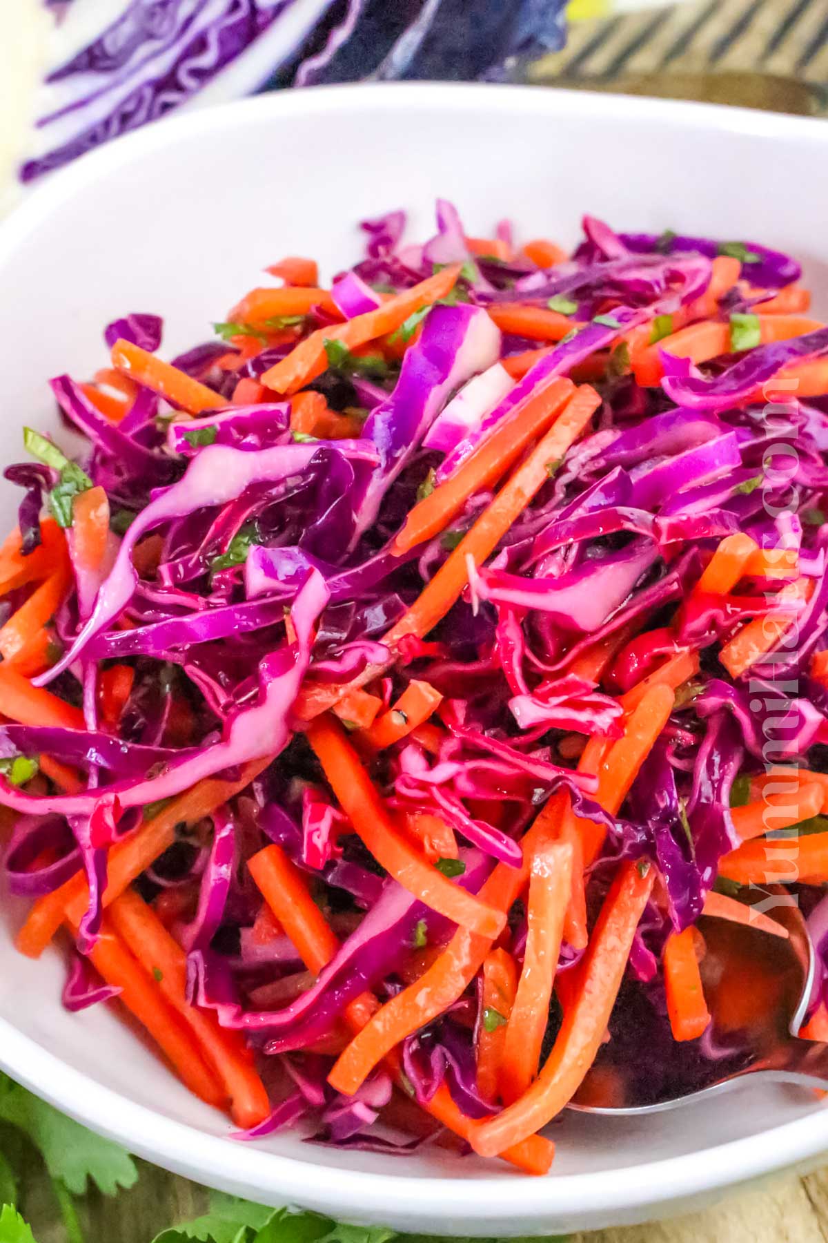 Red Cabbage Slaw