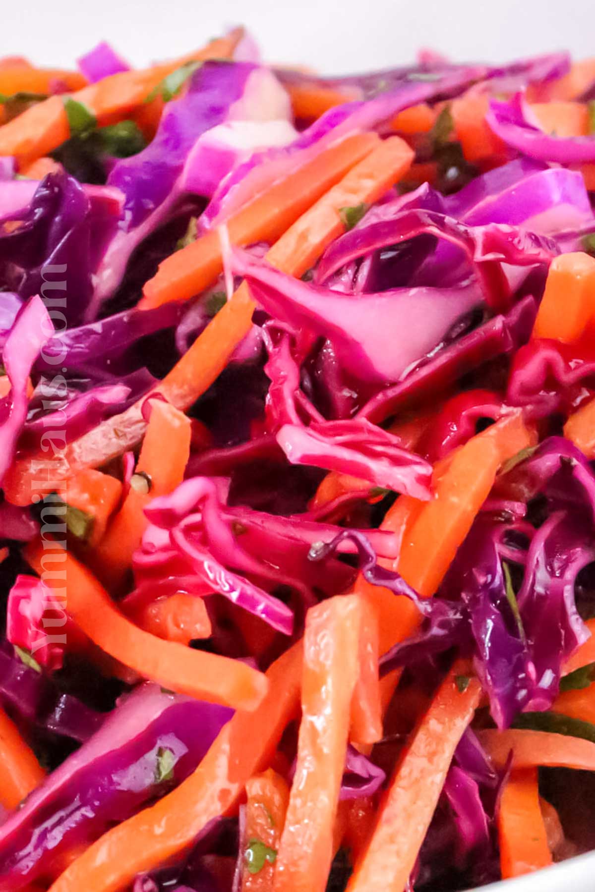 colorful taco topping