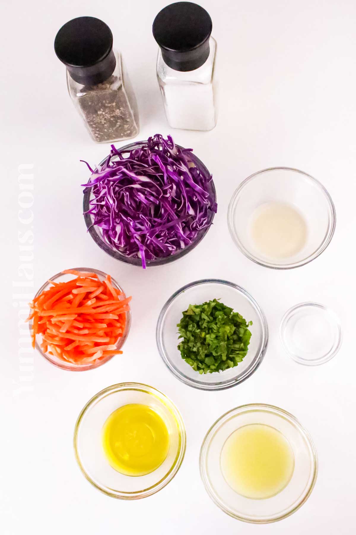 Red Cabbage Slaw ingredients