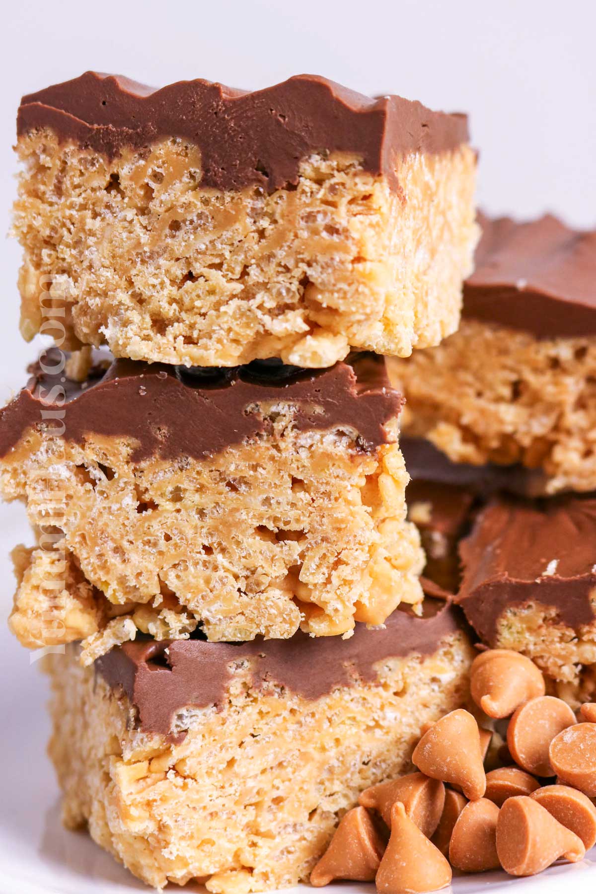 no bake dessert bars
