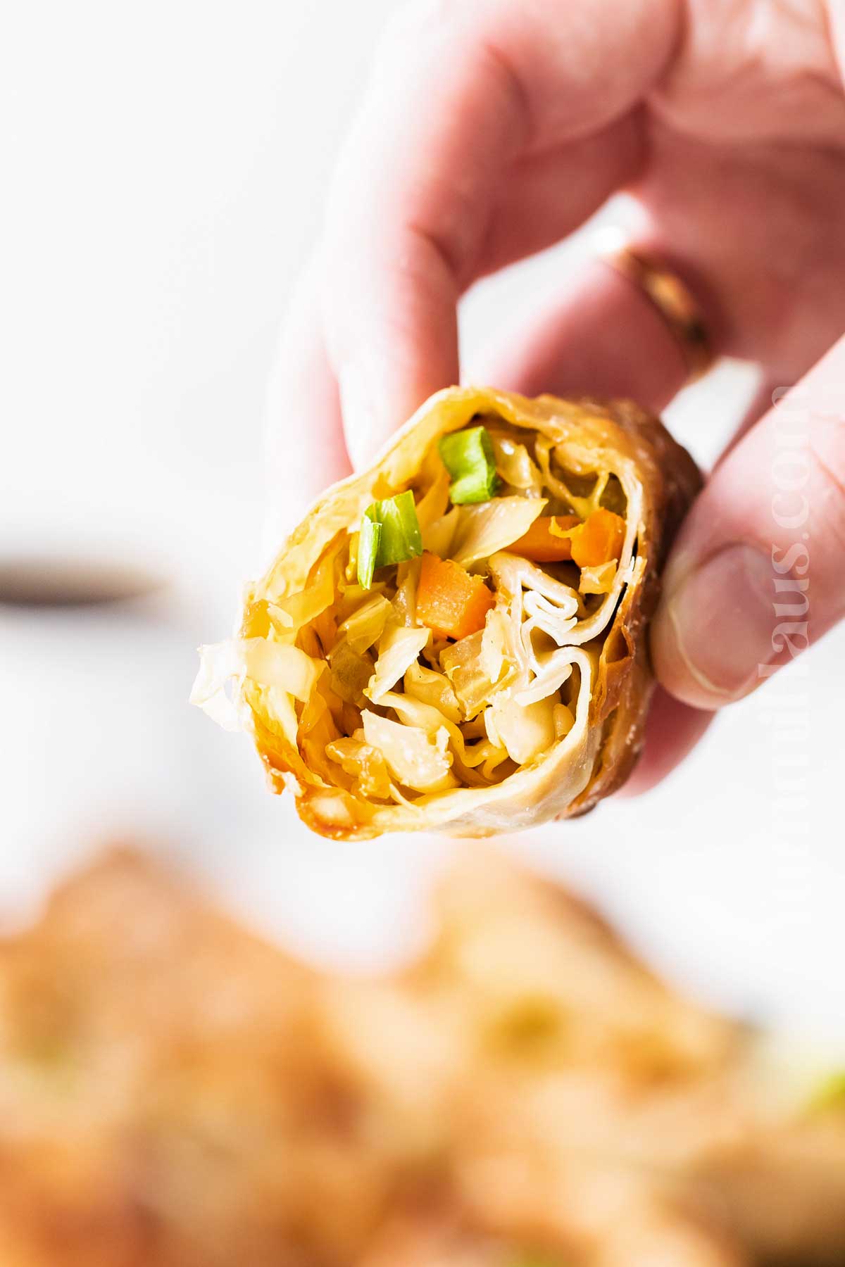 Air Fryer Egg Rolls